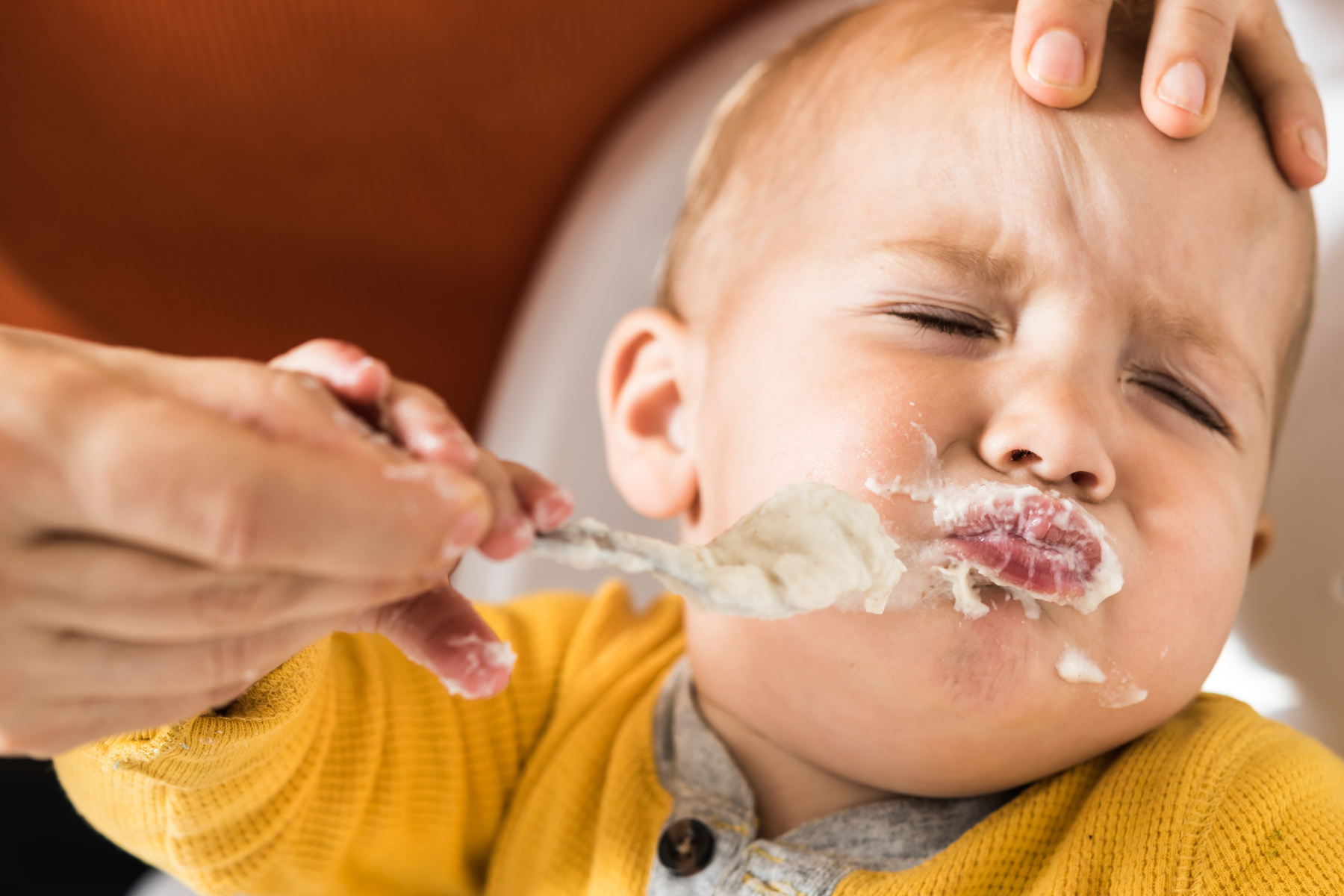 Carnivore Kids: Why Animal-Based Nutrition May Be the Best Start in Life