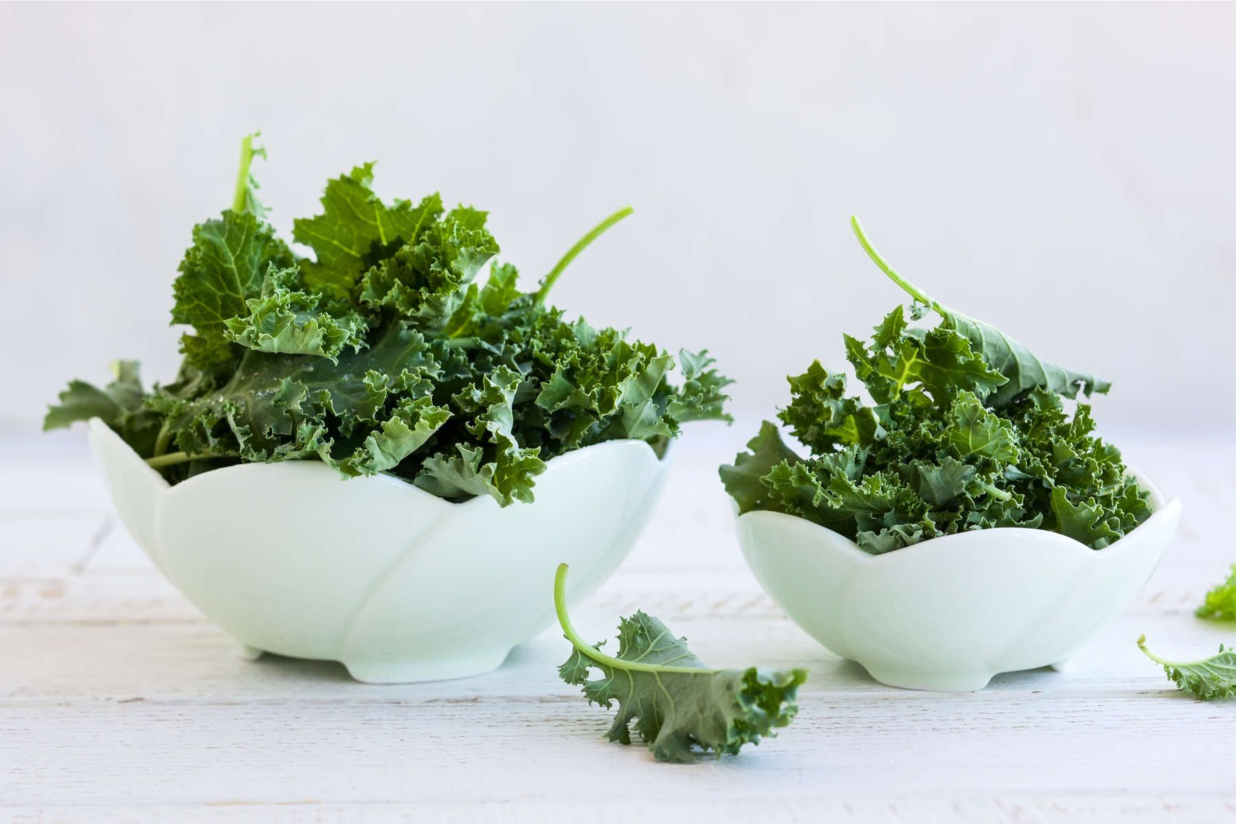 Why Plant Nutrients Aren’t What They Seem: The Truth About Antinutrients and Absorption