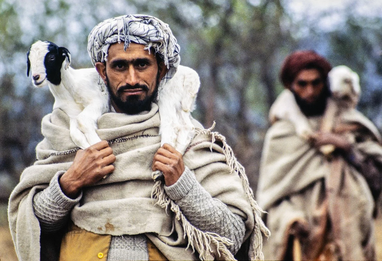 Shepherds in the Hindu Kush, Pakistan