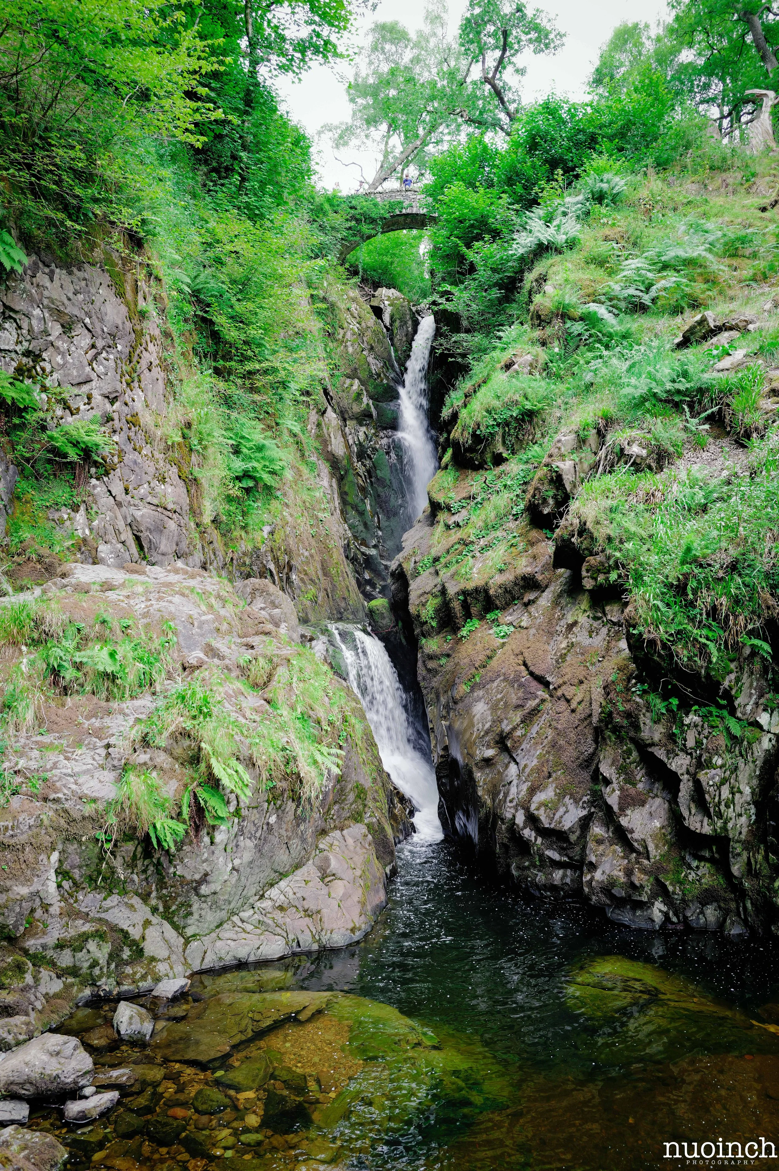 DO01000454-2.jpg