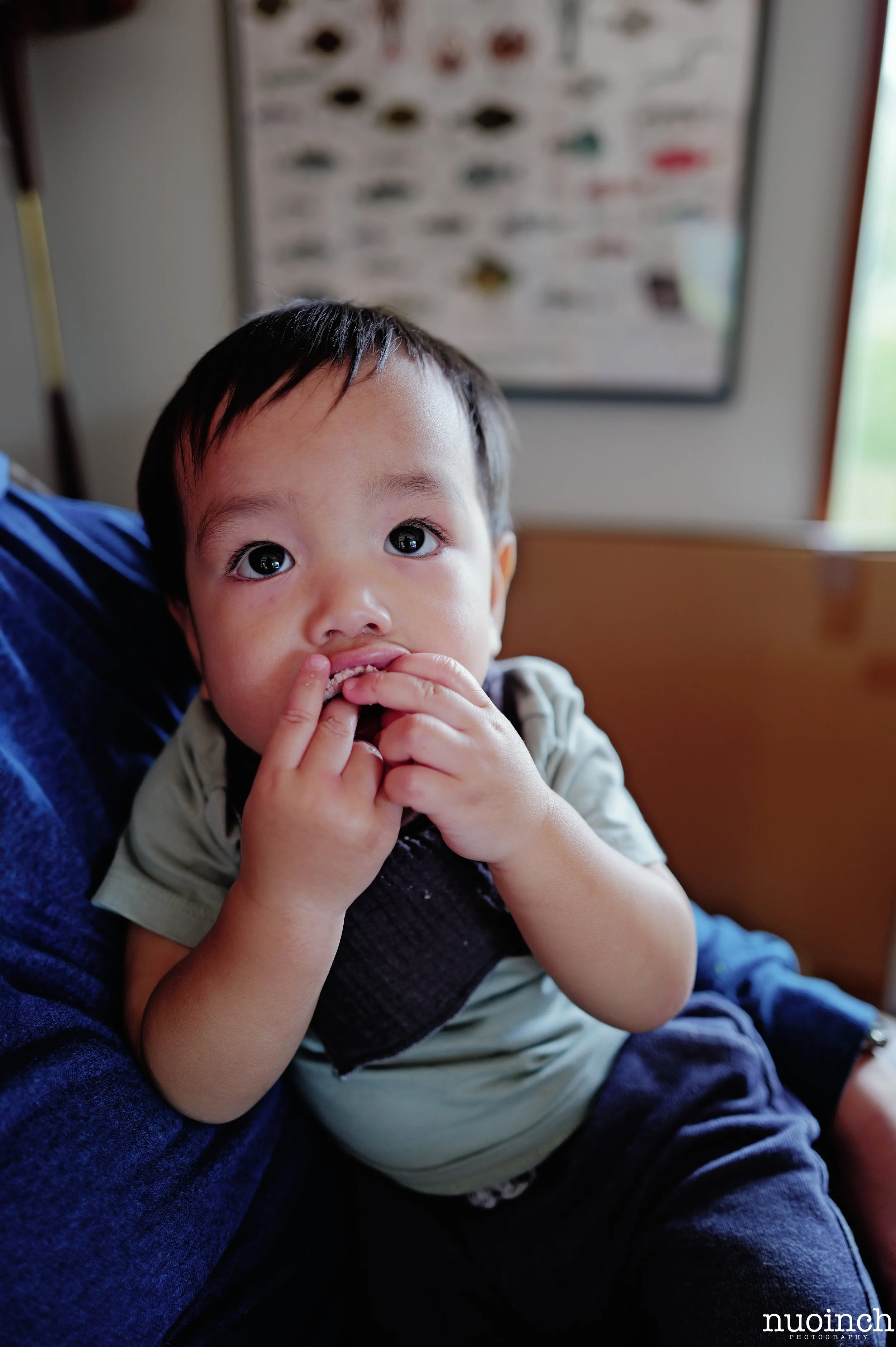 DO01000256-2.jpg