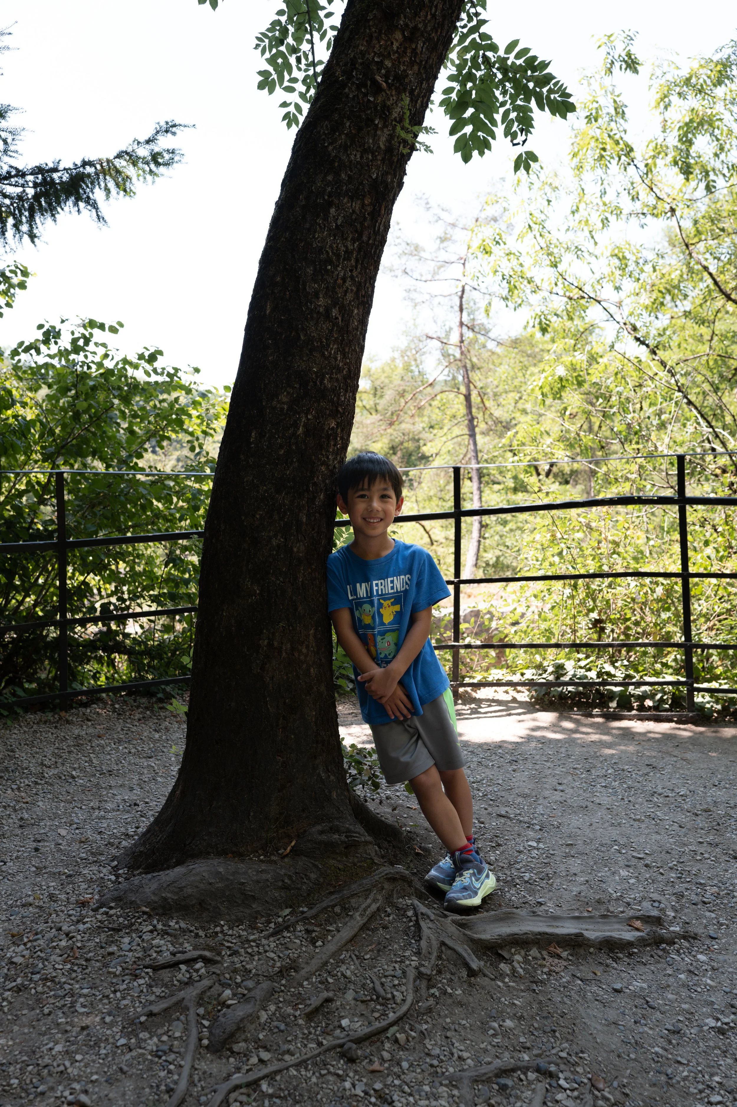 L1002864.jpg