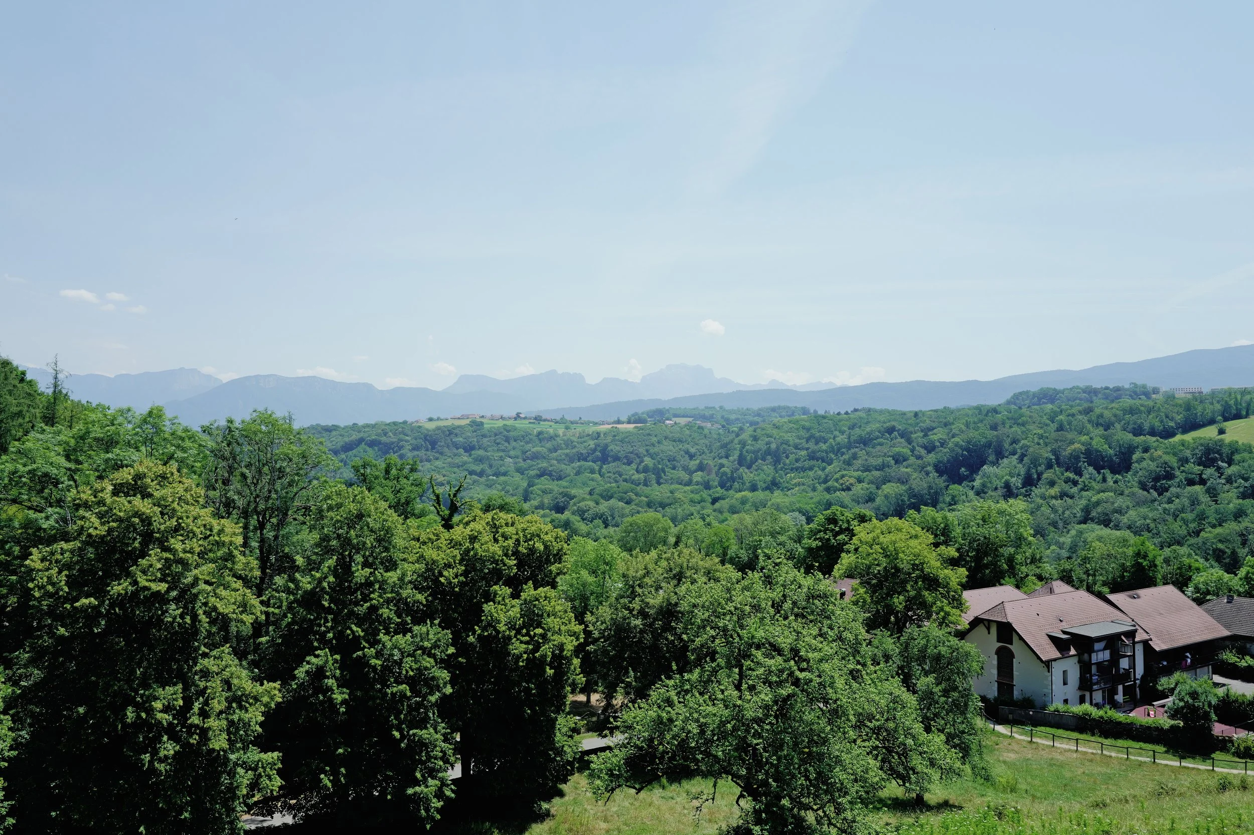 L1002836.jpg
