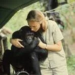Jane Goodall’s Netflix Documentary: Famous Last Words