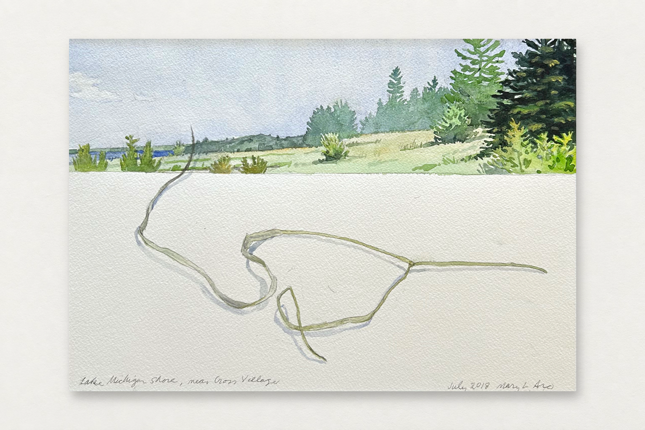 Mary Aro
  Lake Michigan Shore 
   Watercolor (Matted and Framed)
  10.25 by 14.25 inches
  $900  