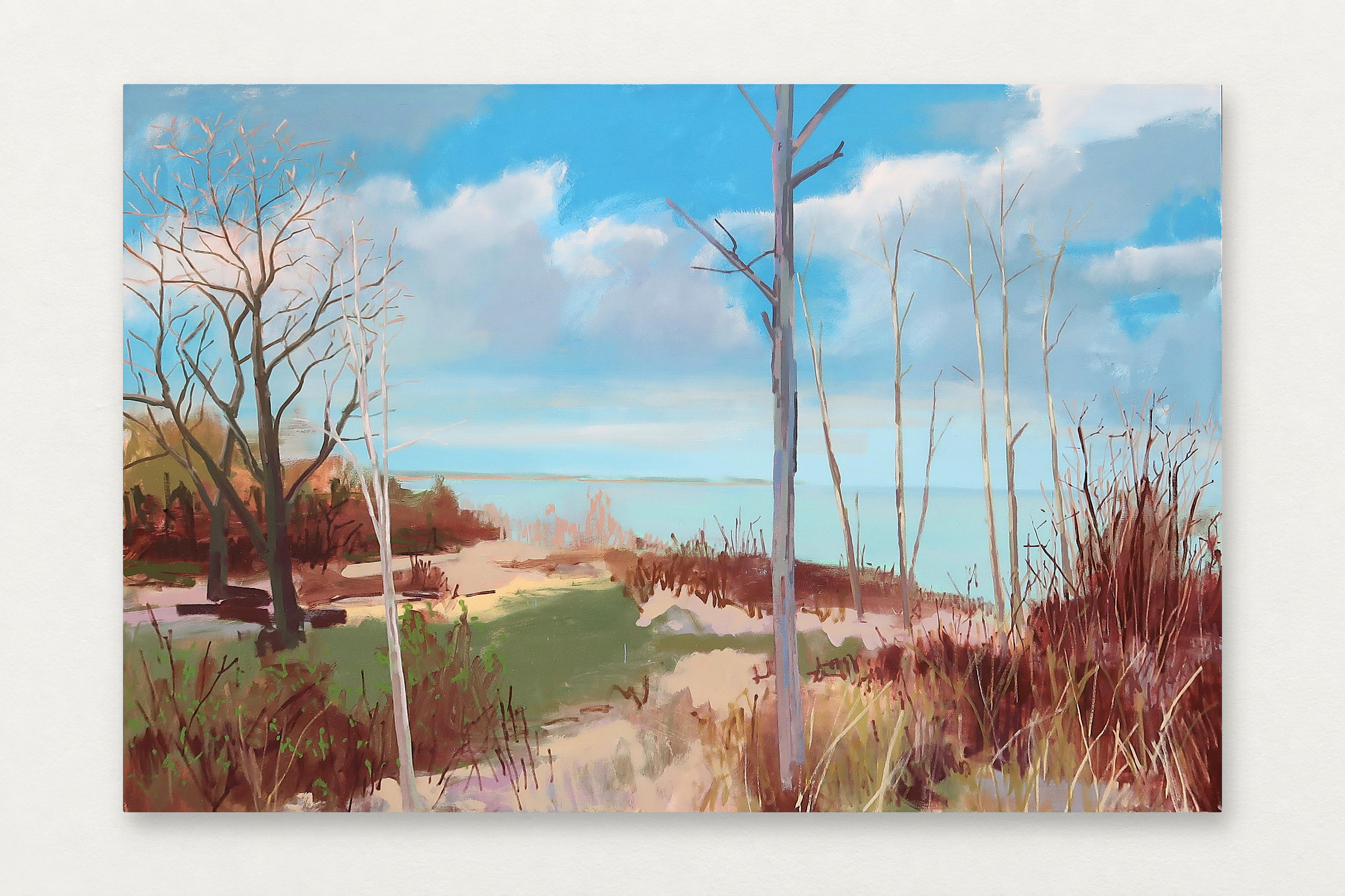 Richard Kooyman
  Esch Road End , 2025
   Oil on canvas
  48 by 72 inches
  $10,900  