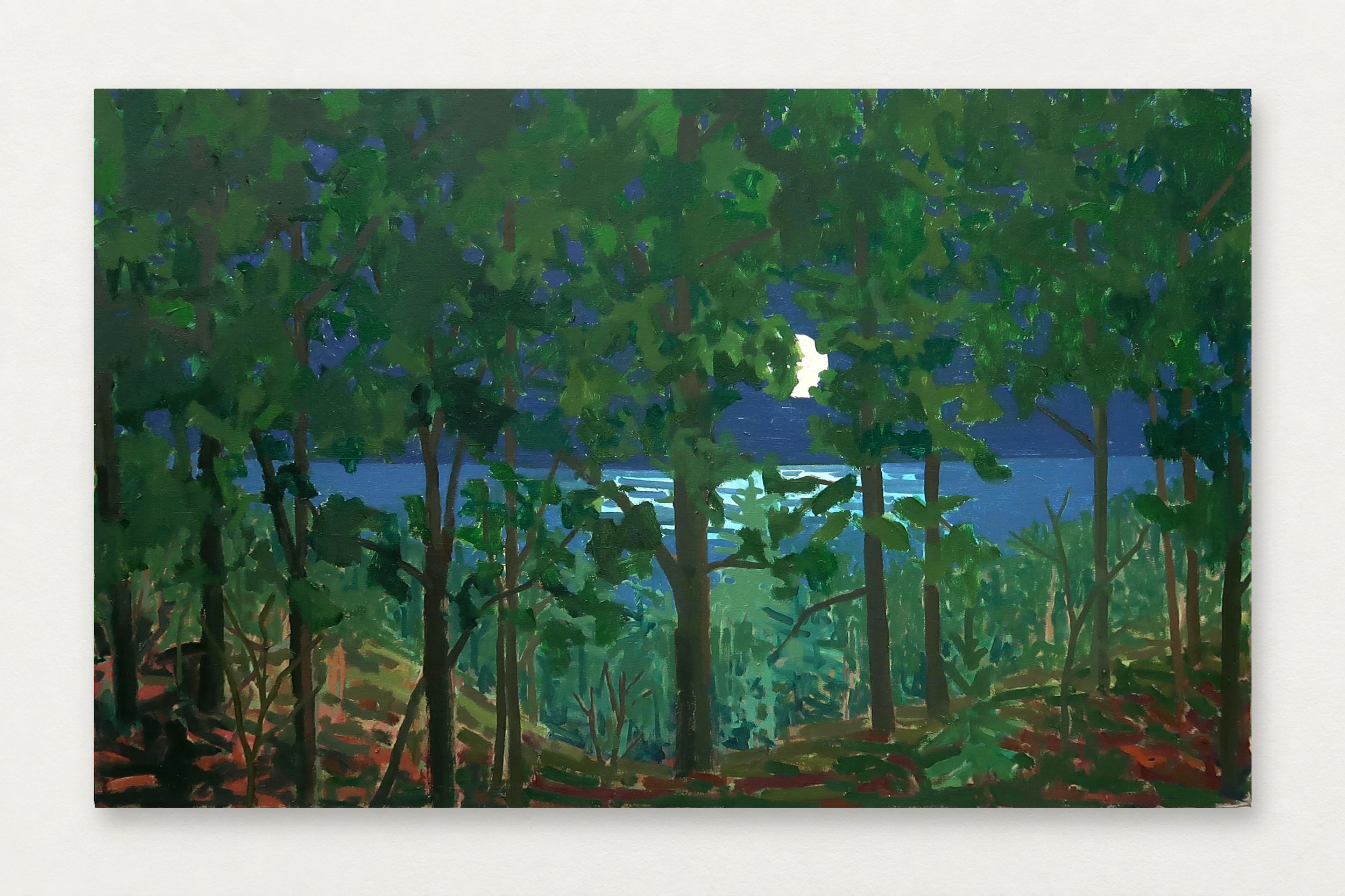 Richard Kooyman
  Big Moon Over the Big Lake , 2026
   Oil on canvas
  30 by 48 inches
  $7000  