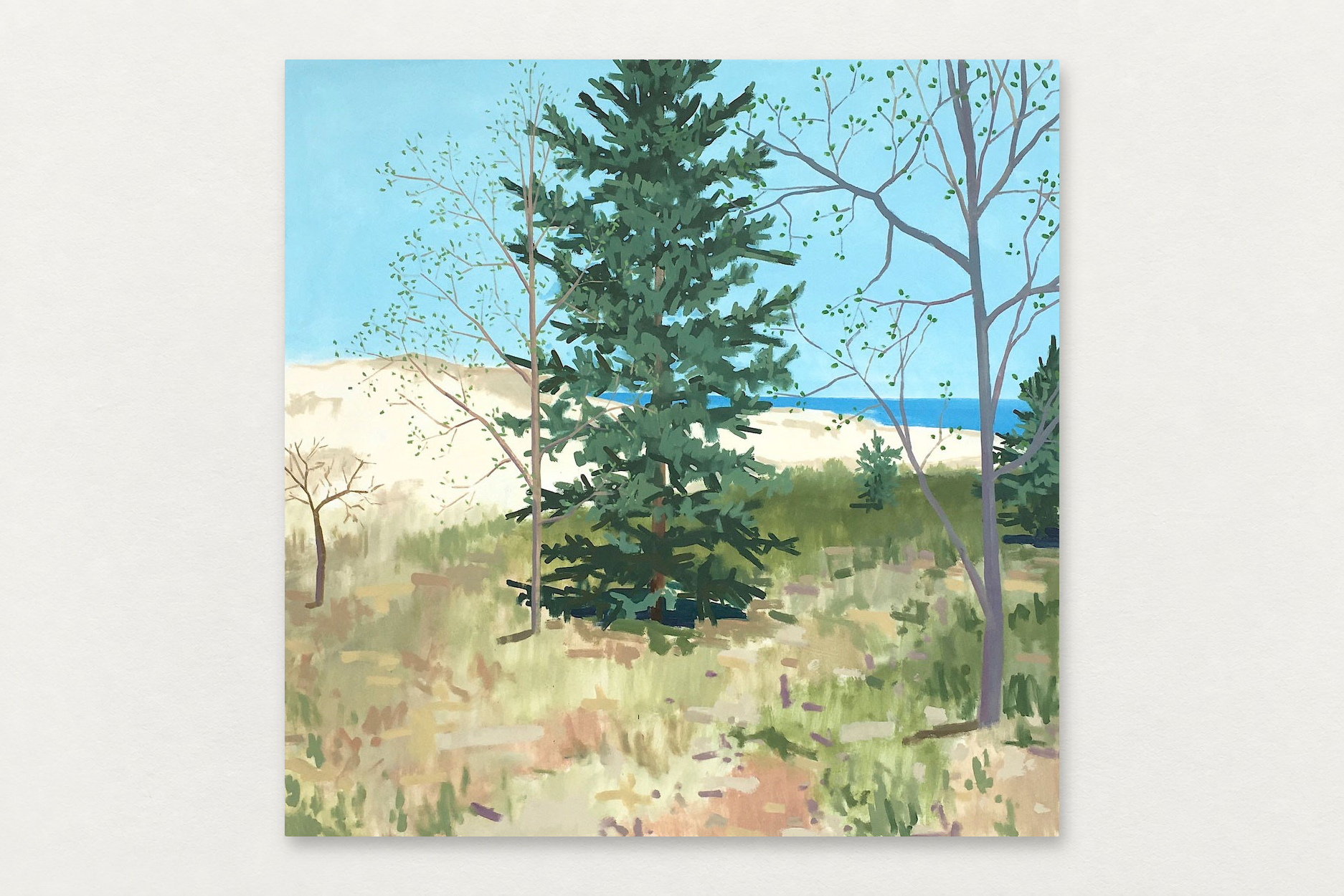 Richard Kooyman
  Pine Tree by the Dune , 2024
   Oil on canvas
  60 by 60 inches
  $12,100  