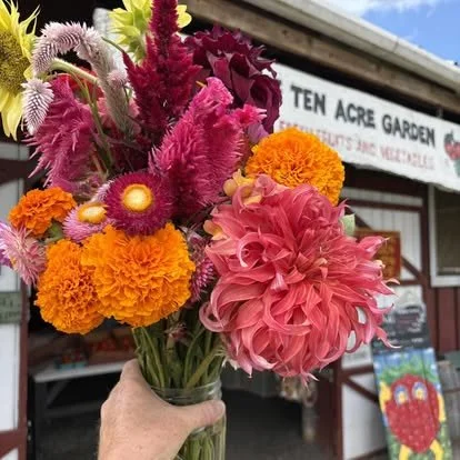Ten Acre Garden Fall Pizza Party and Music in the Garden