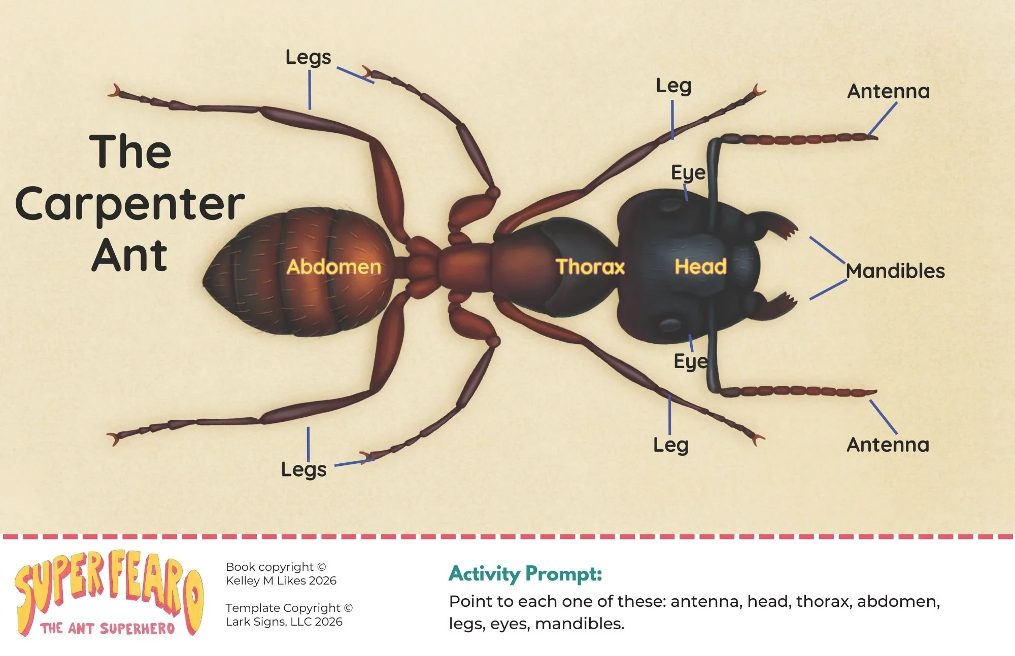 Super Fearo the Ant SuperHero - StoryWalk Version (4).jpg