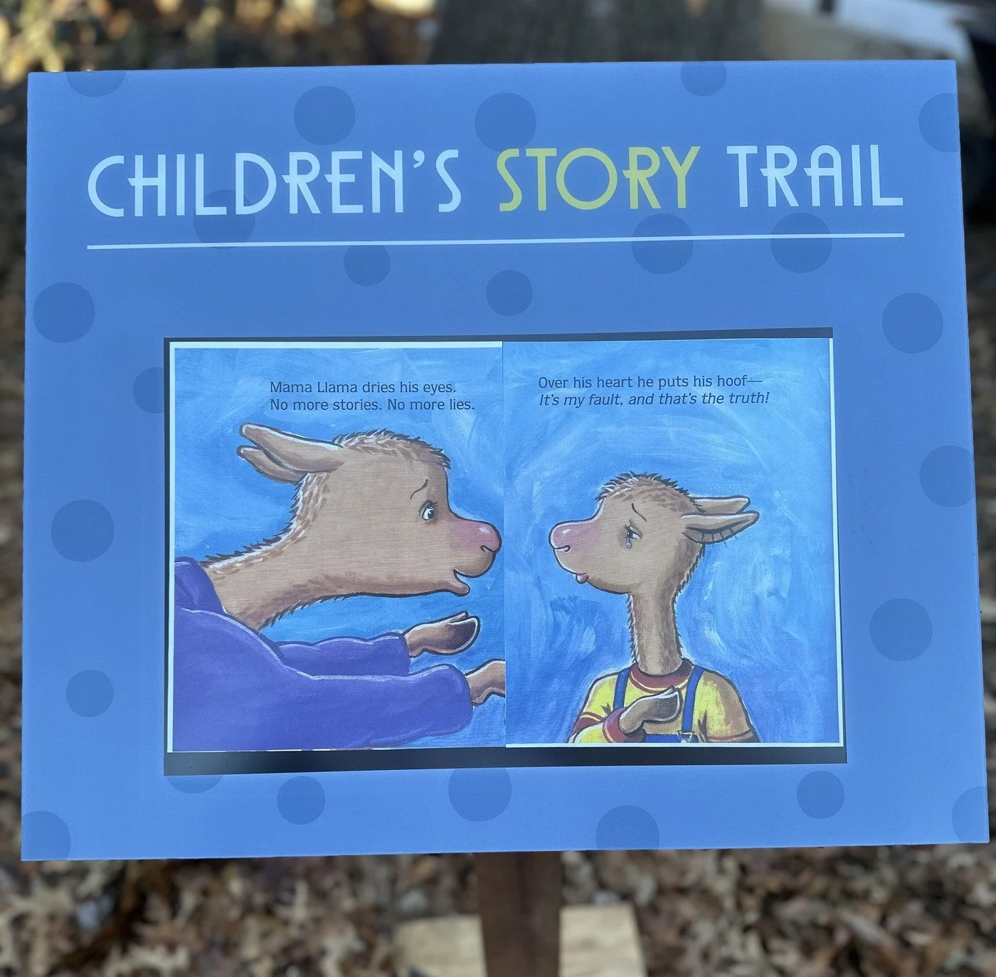 What is a StoryWalk©?