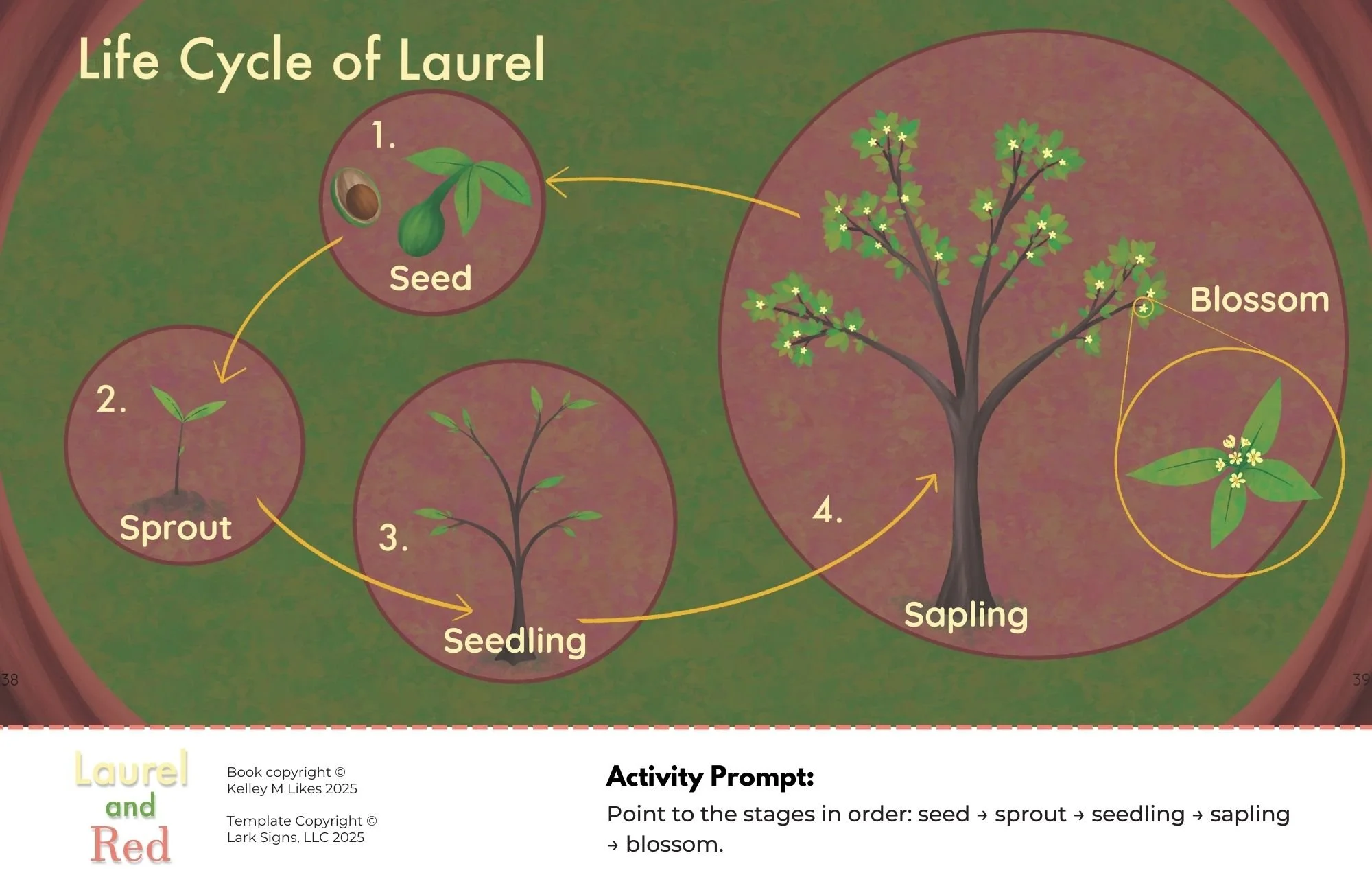 Laurel and Red - StoryWalk© Version (7).jpg