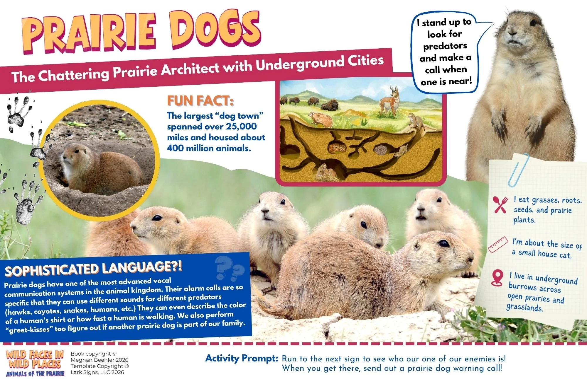 Midwest Animals Book (5).jpg