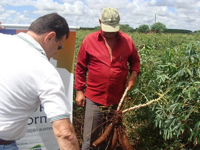 Renato Câmara é atendido por ministra e produtores de mandioca voltam a ter 30 meses para pagar o Pronaf