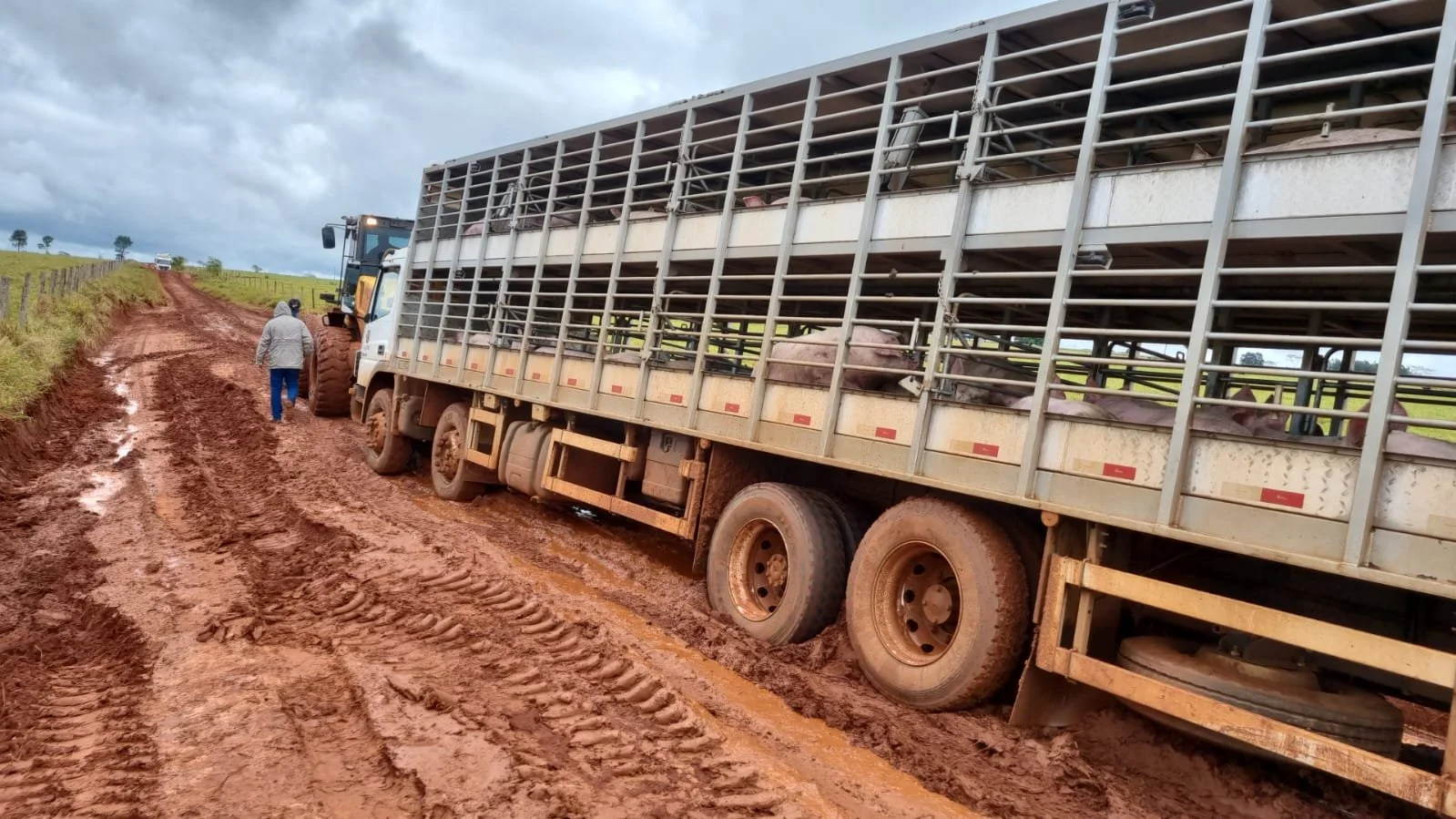Deputado do Agro, Renato Câmara foi a Glória, Jateí e Vicentina anotar as demandas dos suinocultores