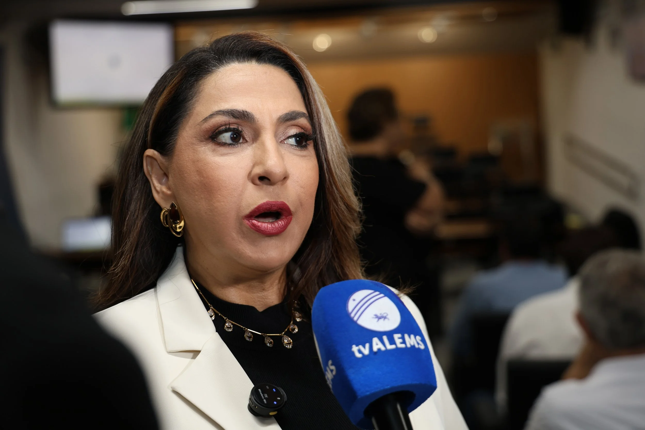 Inédita: ALEMS realiza posse dos membros da Frente em Apoio ao Varejo de Comércio e Serviços