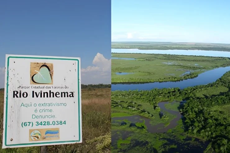 No Dia da Mata Atlântica, o Parque do Ivinhema mostra como a política virou floresta