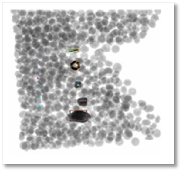 medium (5).png