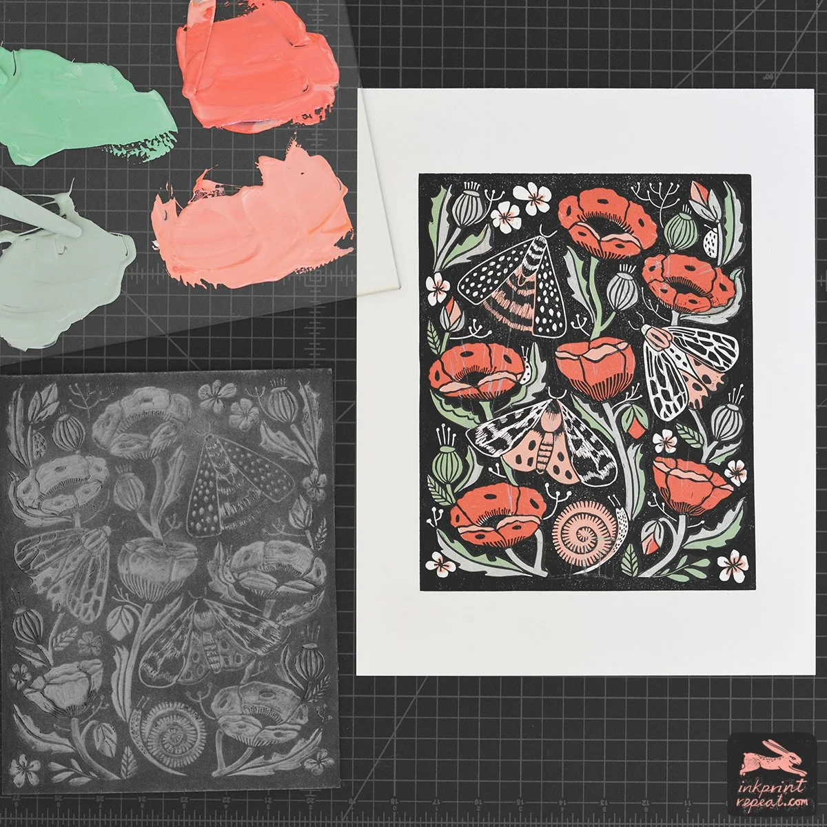 portfolio photos moths 2 copy.jpg