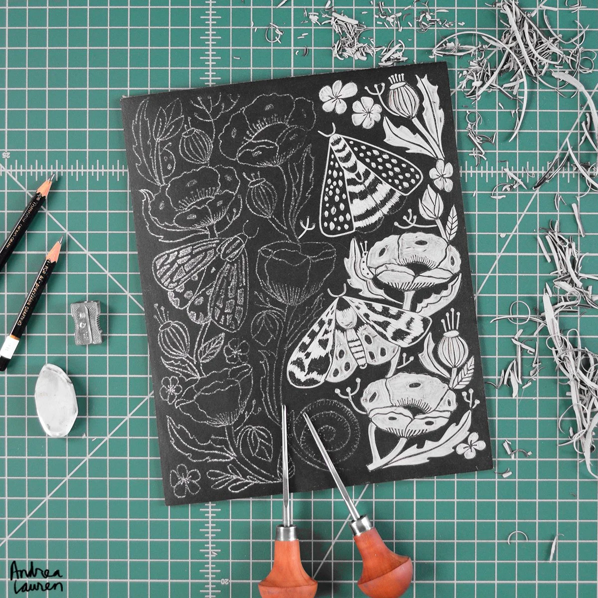 portfolio photo moths 1.jpg