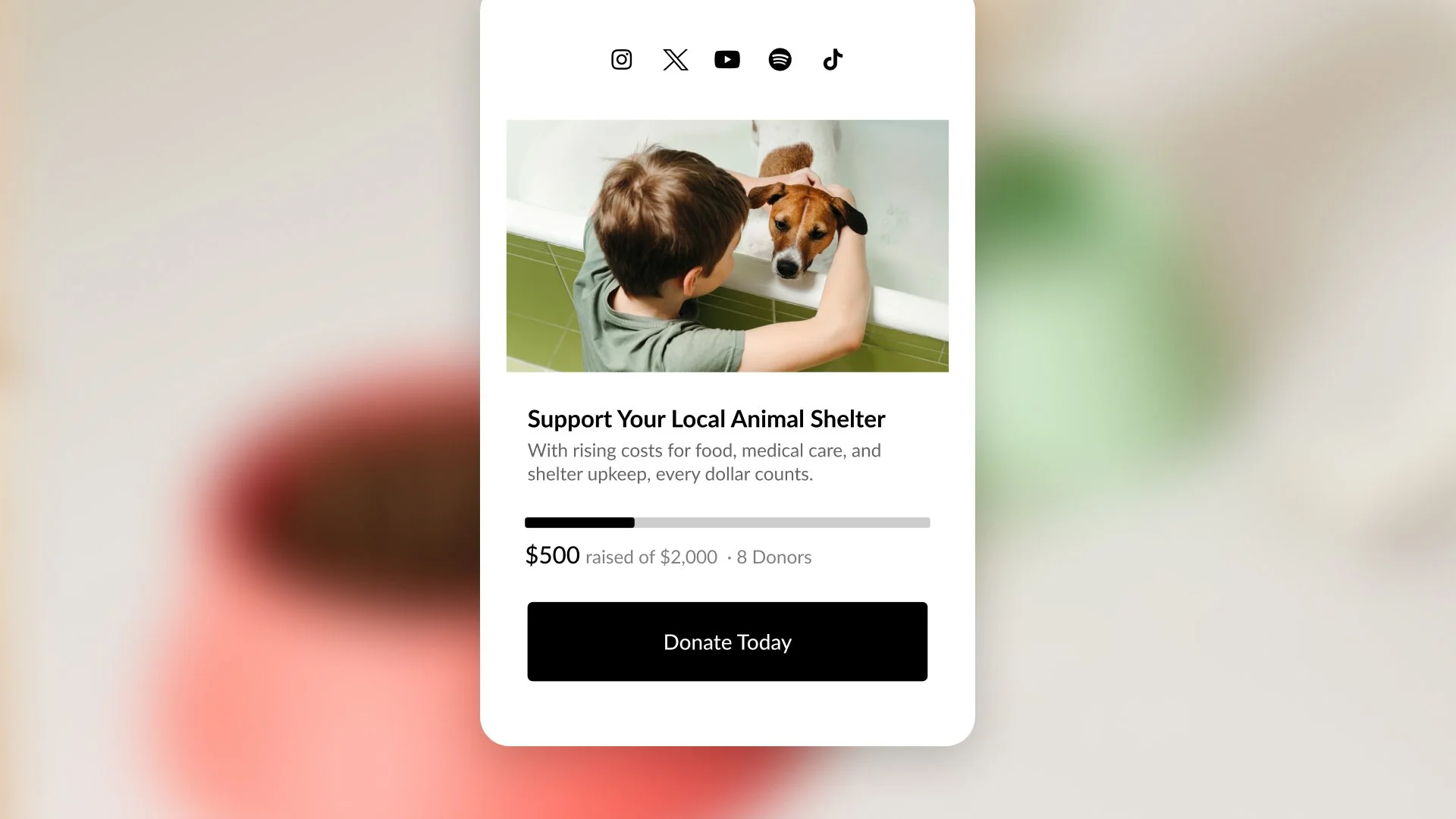 How to Use a Link-in-Bio for Fundraising on Instagram or TikTok