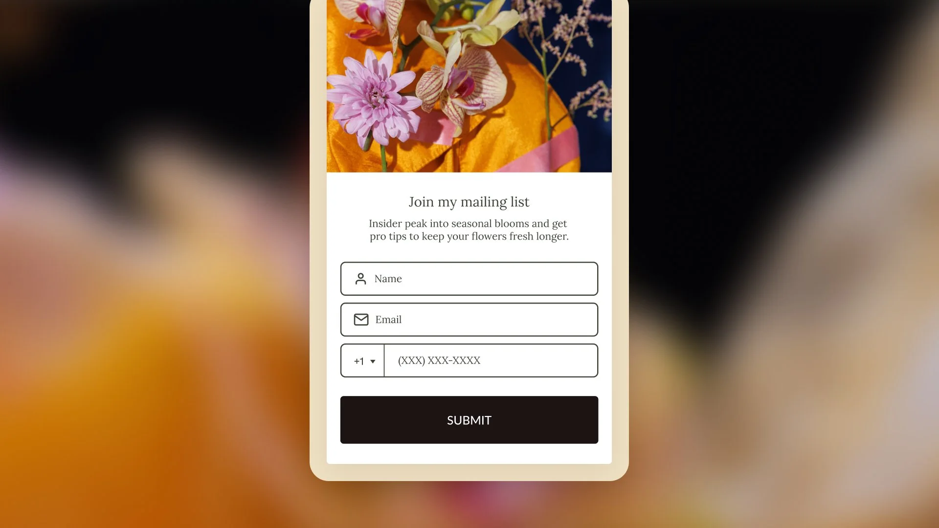 How to Use Email and Phone Capture on Your Bio Site Without Feeling Spammy