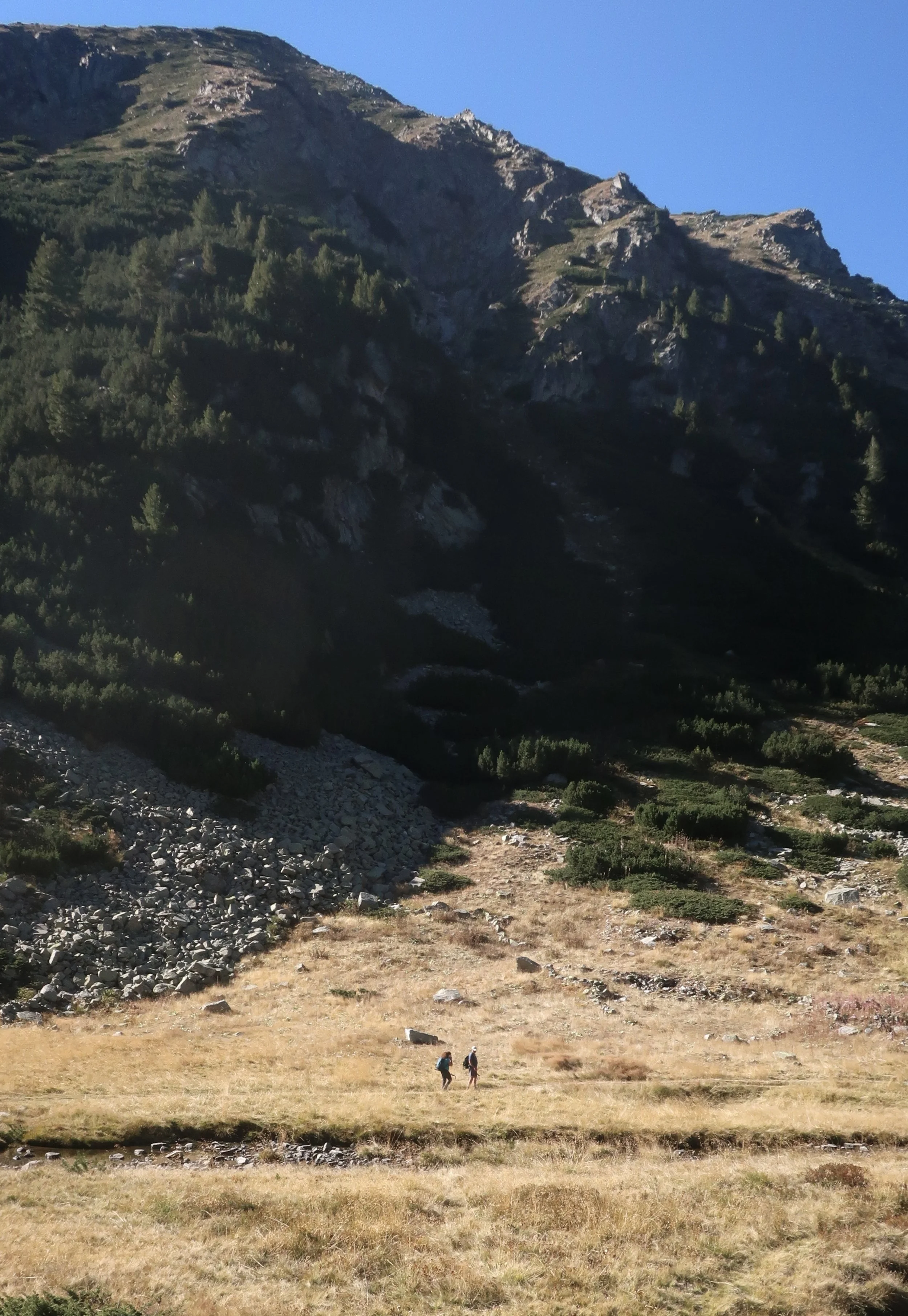 IMG_7945 - Anna Anastassaki.jpeg