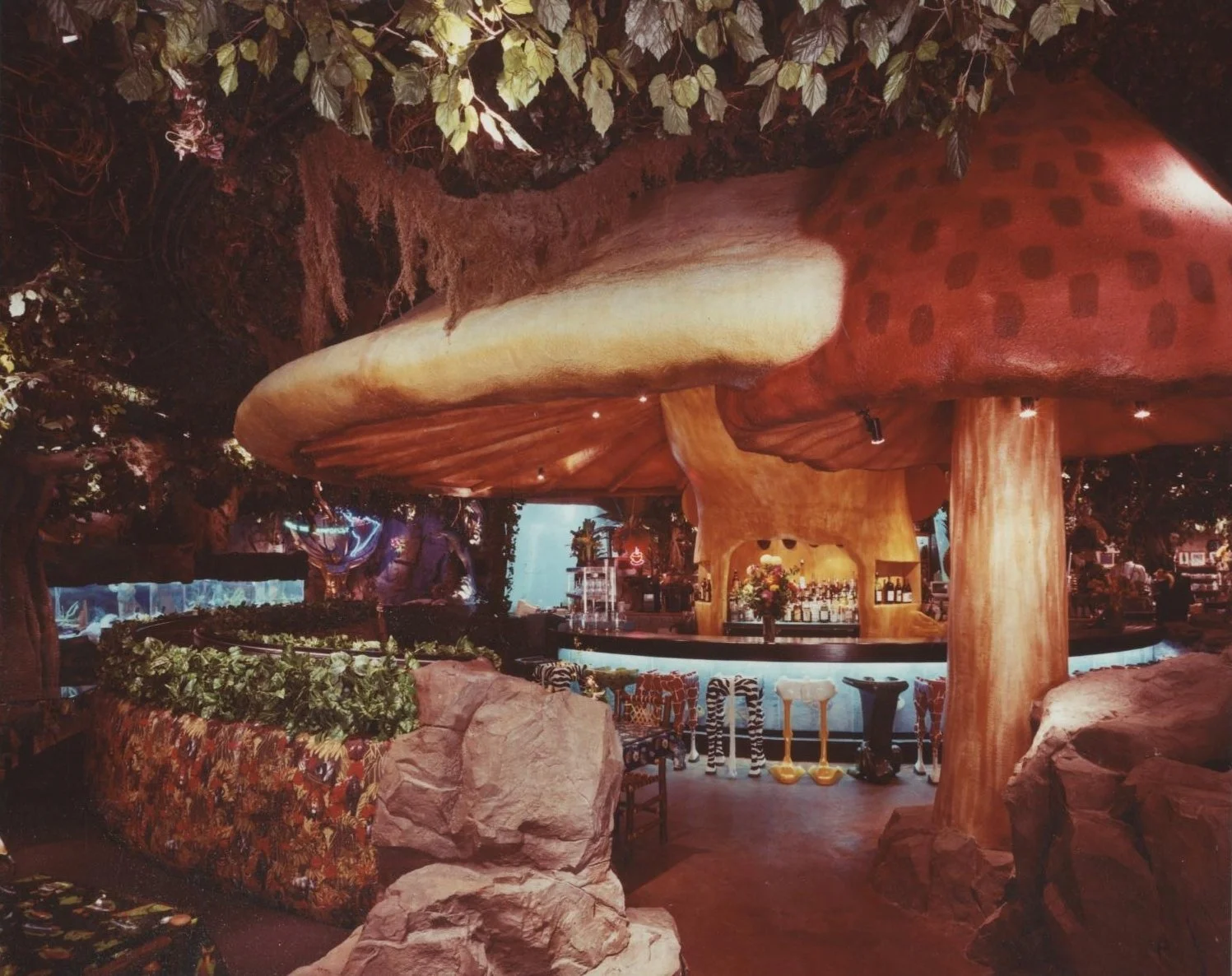 Project: Rainforest Cafe Mall of America