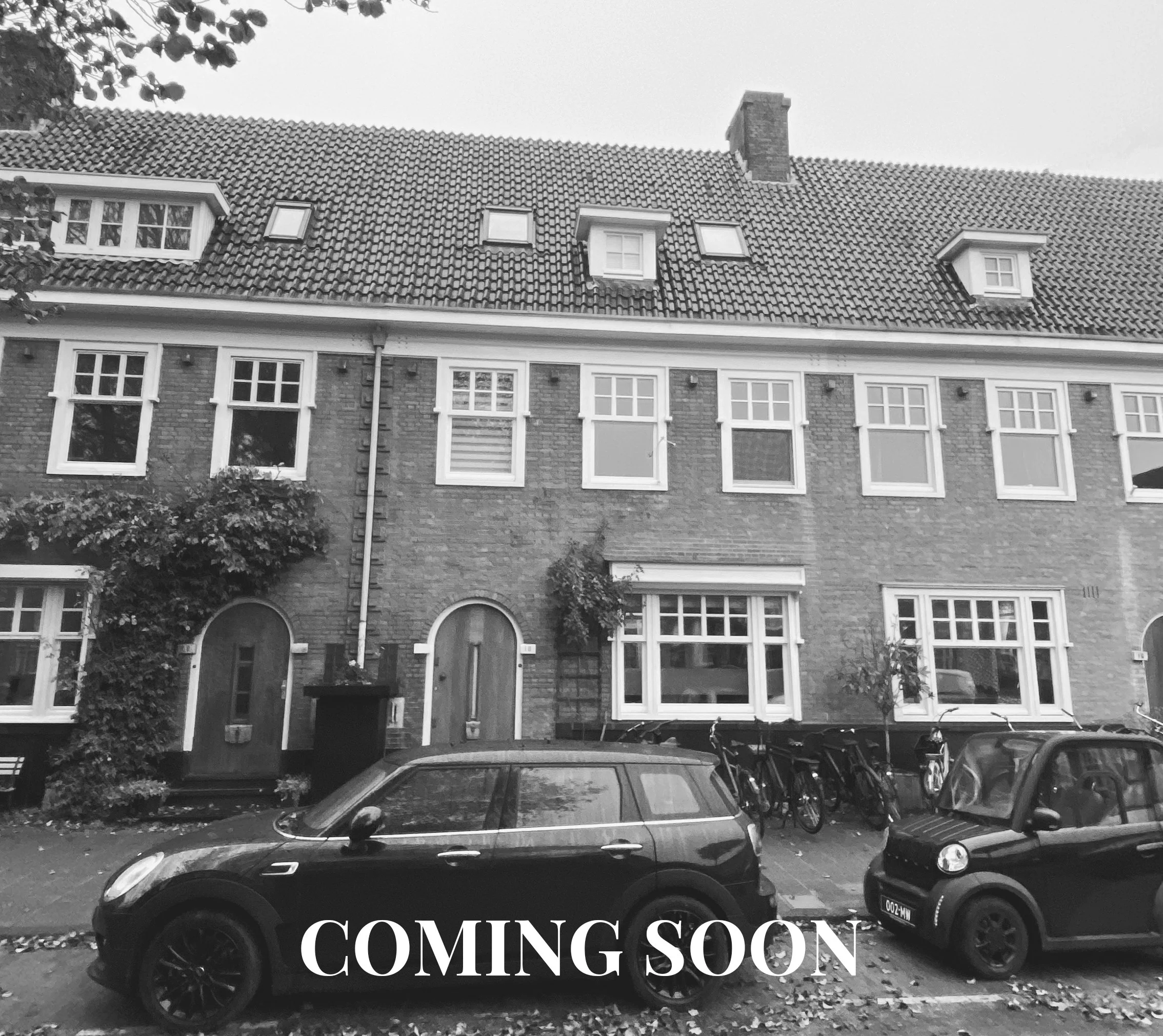 Raphaëlplein (renovatie)