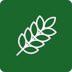 Icon2.png