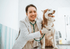 Dog and Cat Unit Study Ideas for Homeschool Families / Cat & Dog unit ...