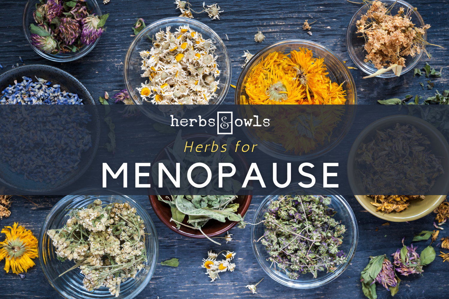 Herbs for Menopause