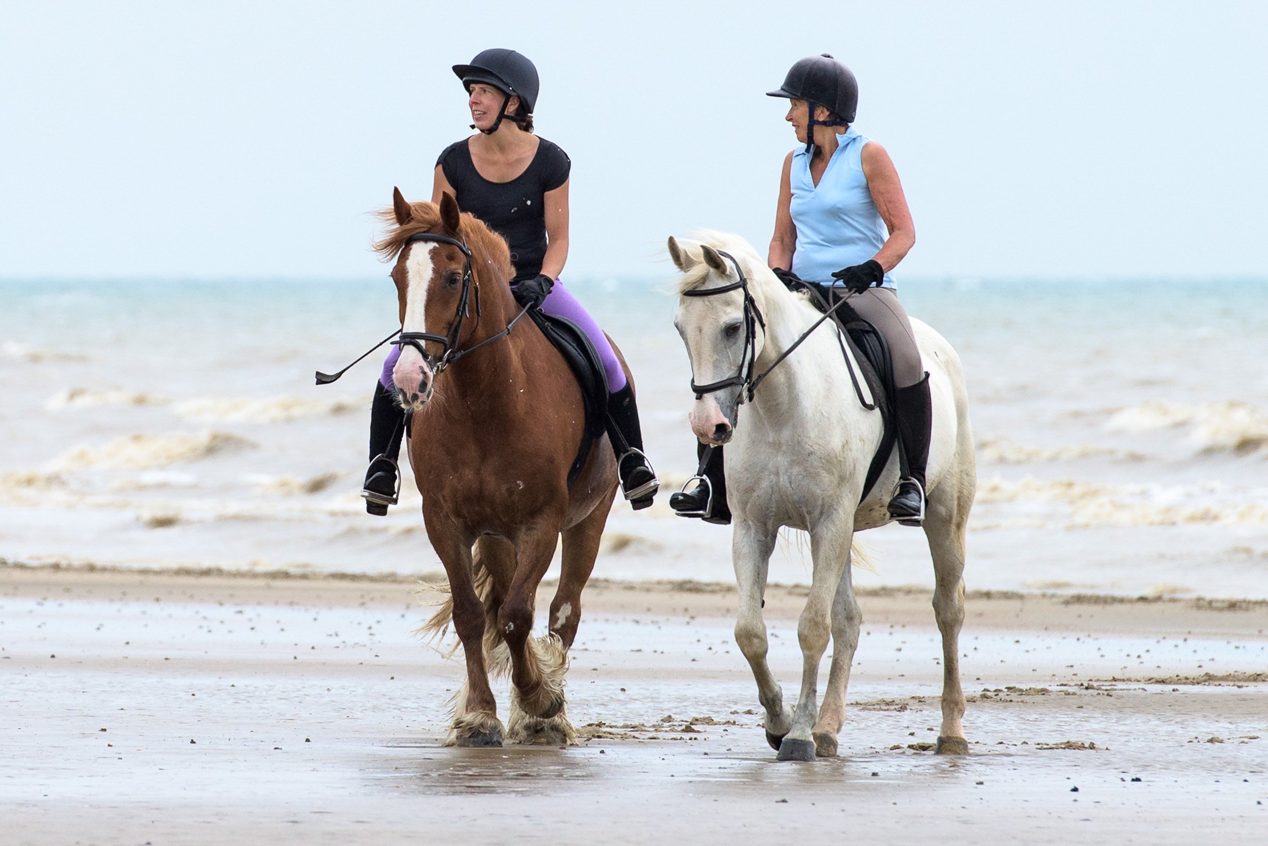 Beach-1279.jpg