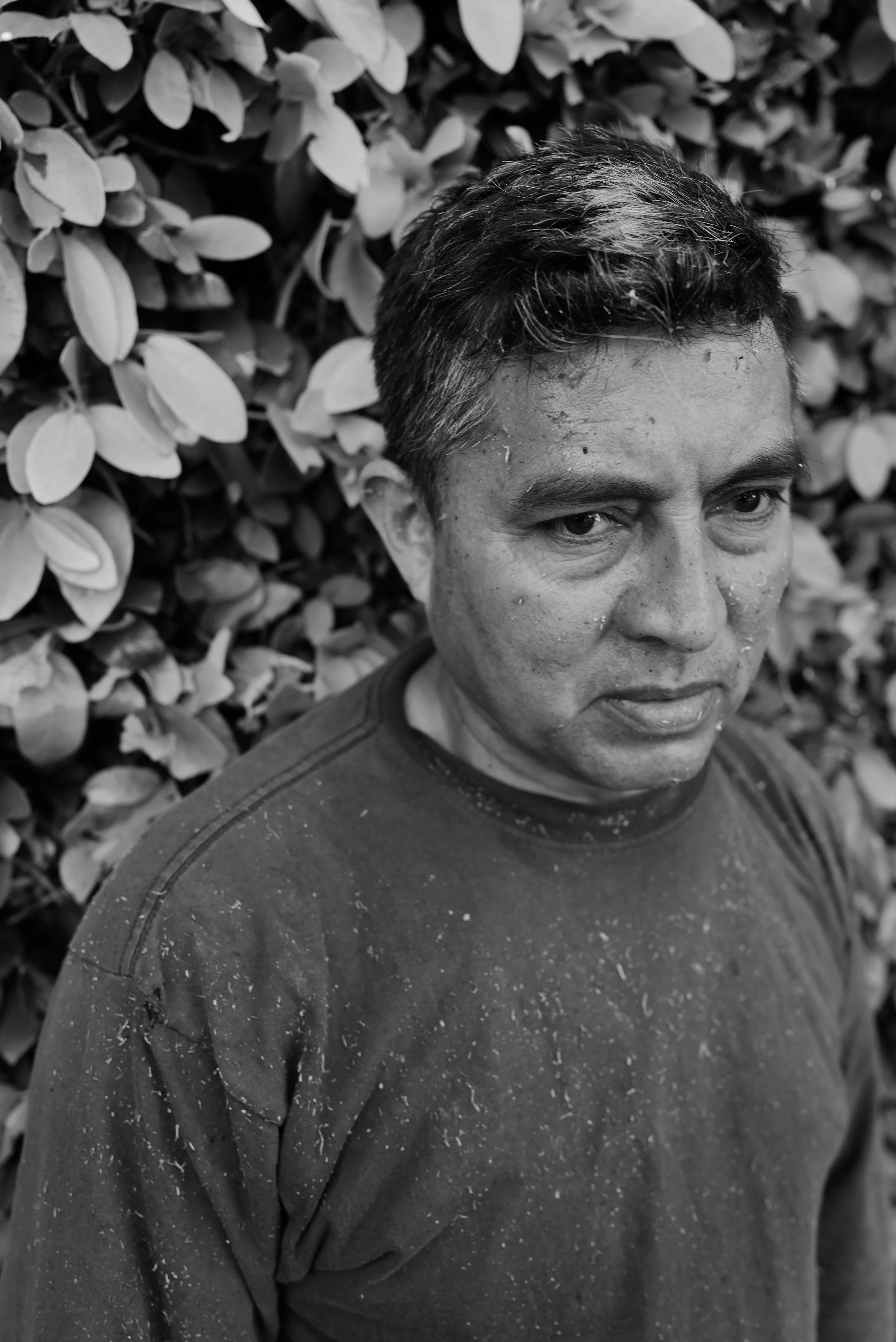 L.A. Gardener Series 2023