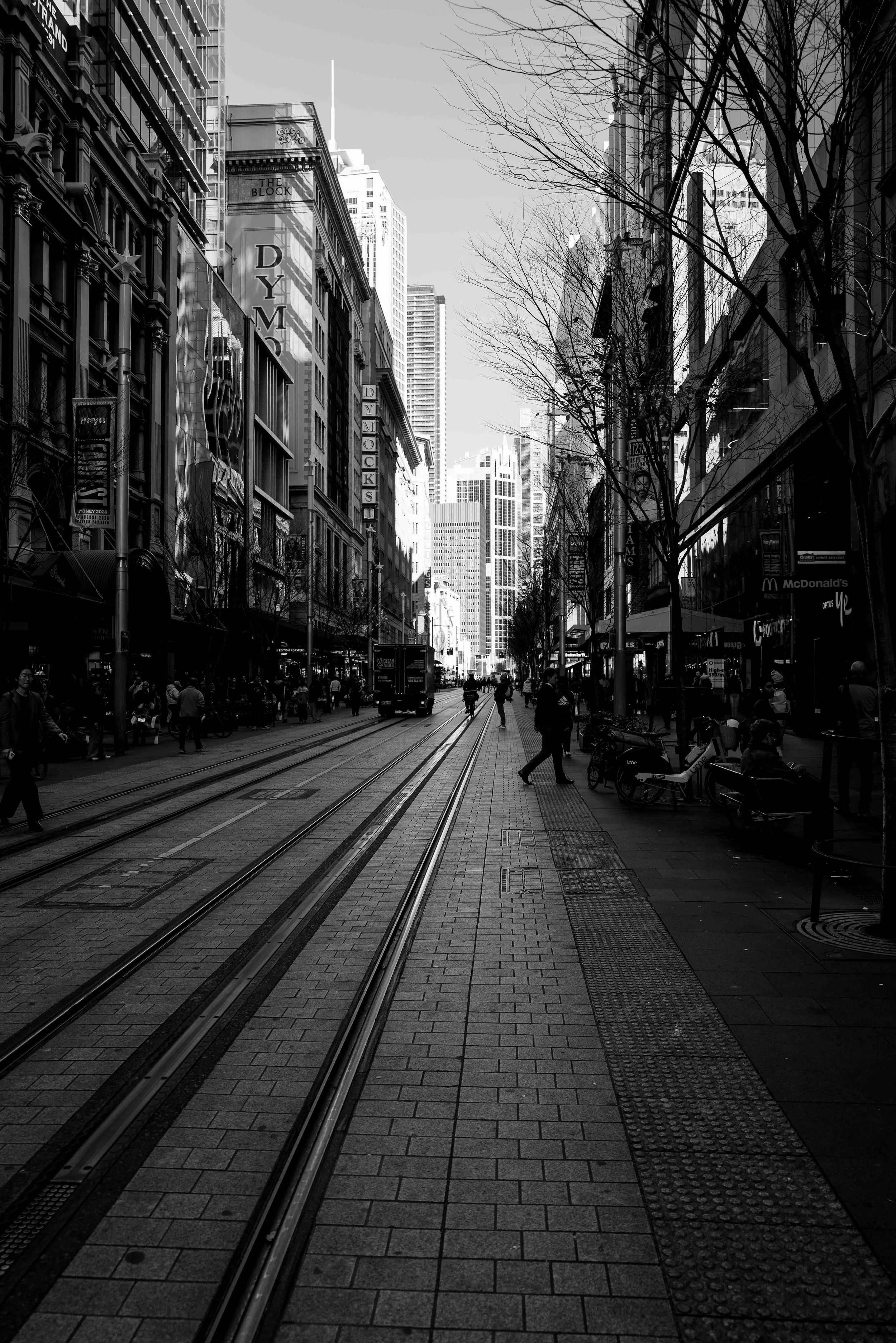 L1007694.jpg