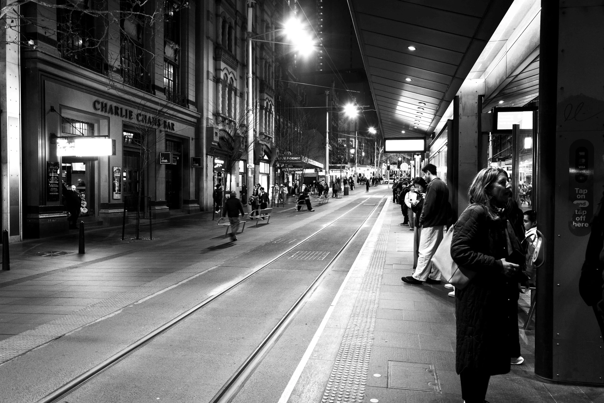 L1007602.jpg