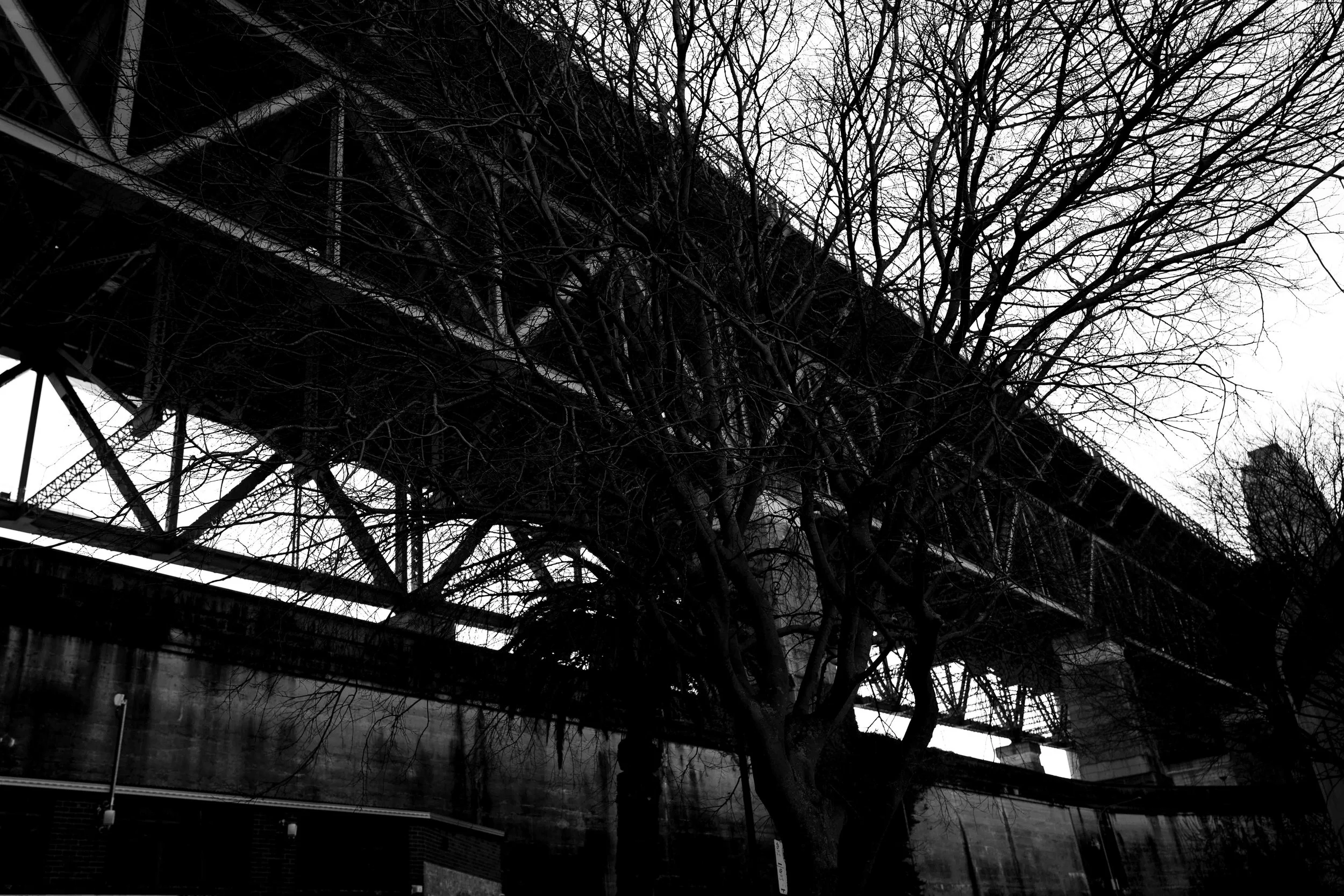 L1007687.jpg