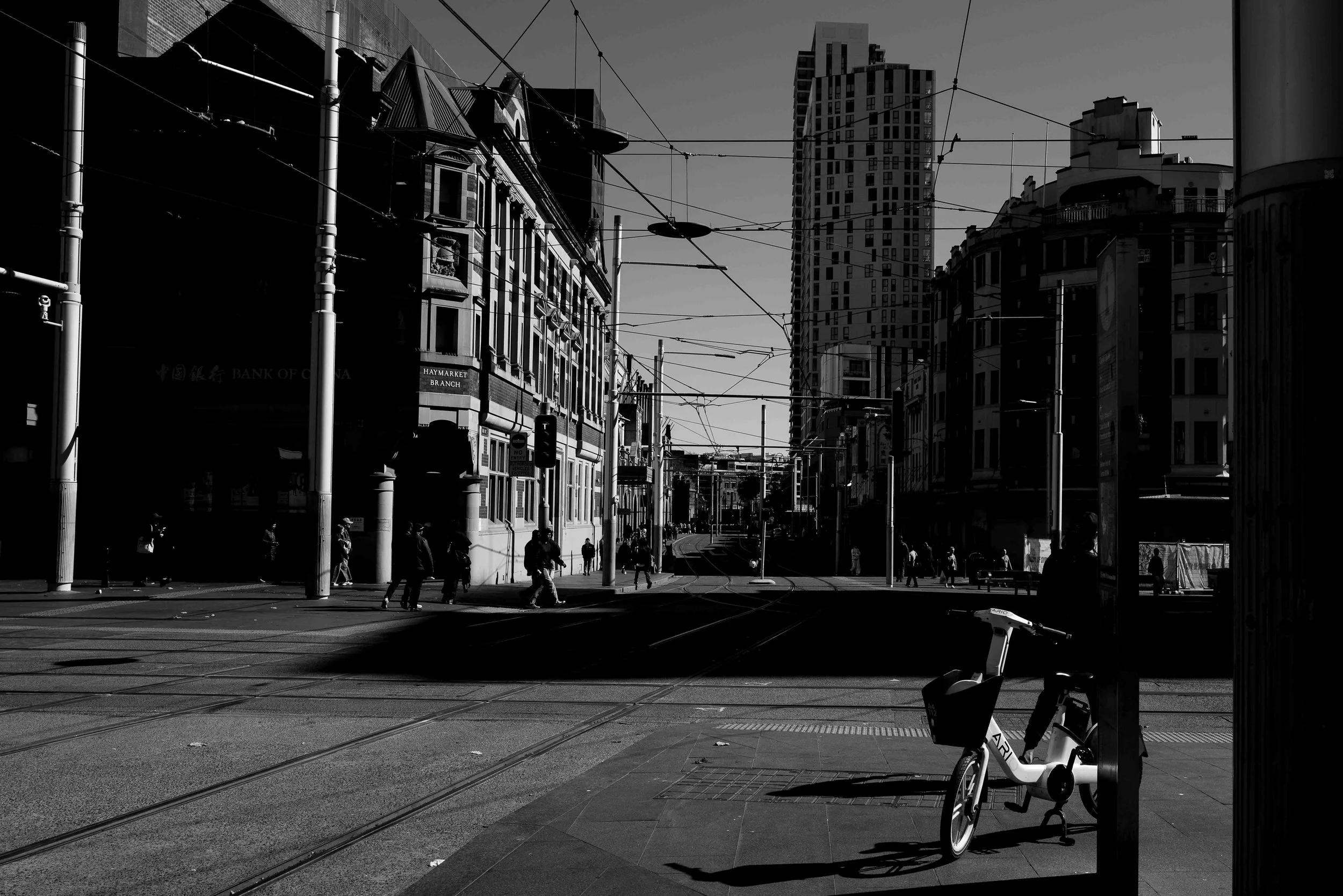 L1007660.jpg