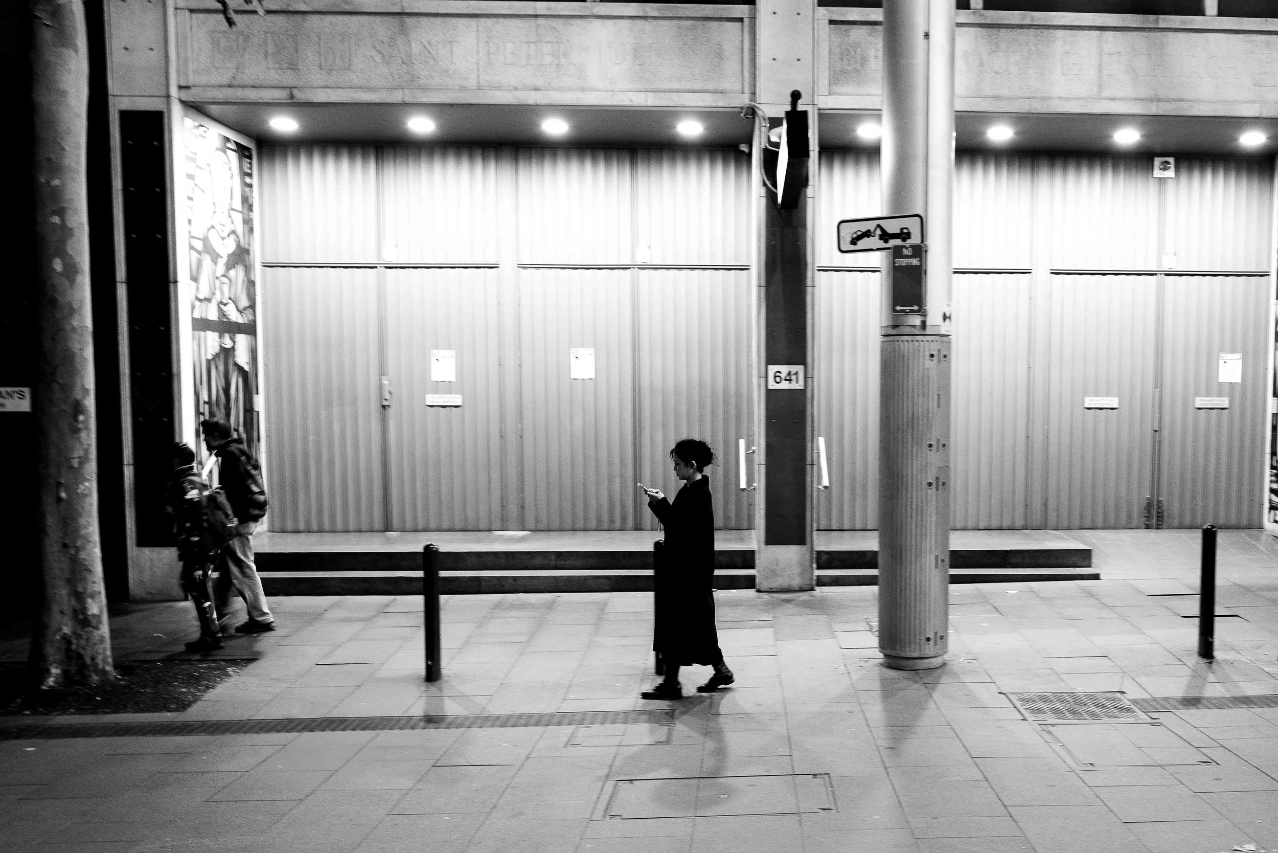 L1007596.jpg