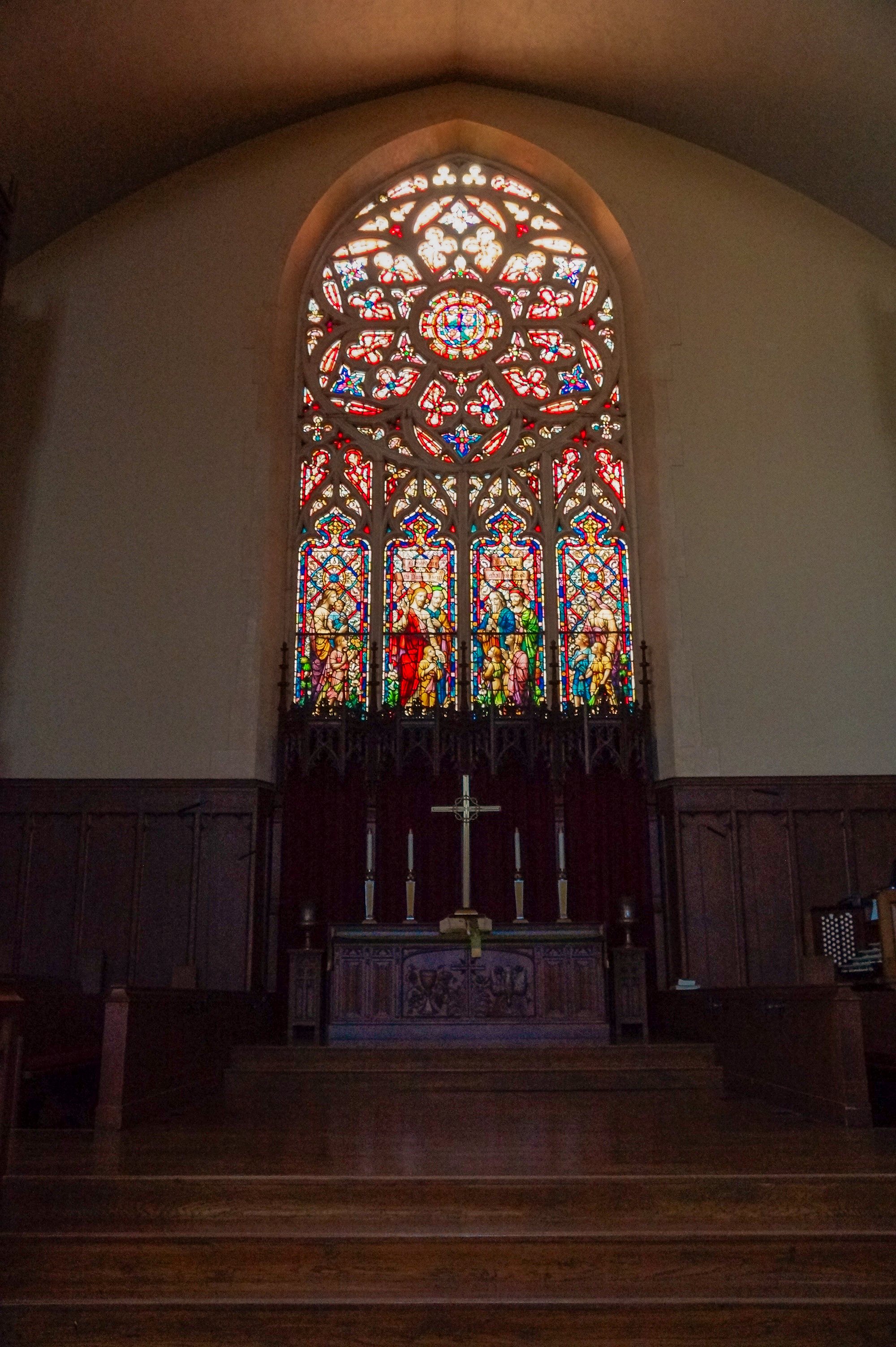 DSC07135.jpg