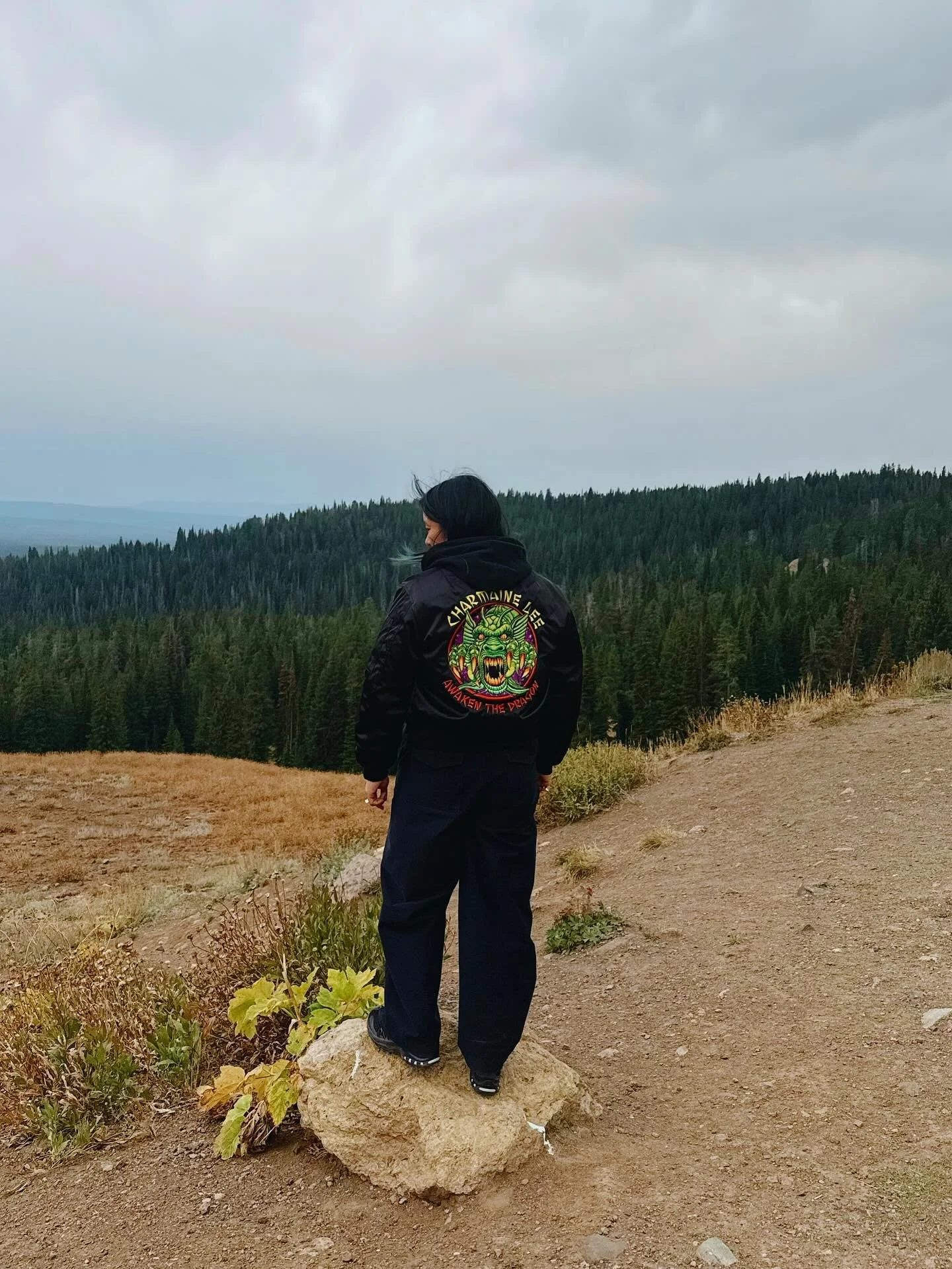 Epic epic week of shows rolling into month two of Awaken the Dragon 🐉✨Olympia with @arringtondedionyso / catching fire with PDX legends @trigger.object &amp; @danielmenche / Arcata with hero @6organs / Oakland with icons Rubber (() Cement and @haira