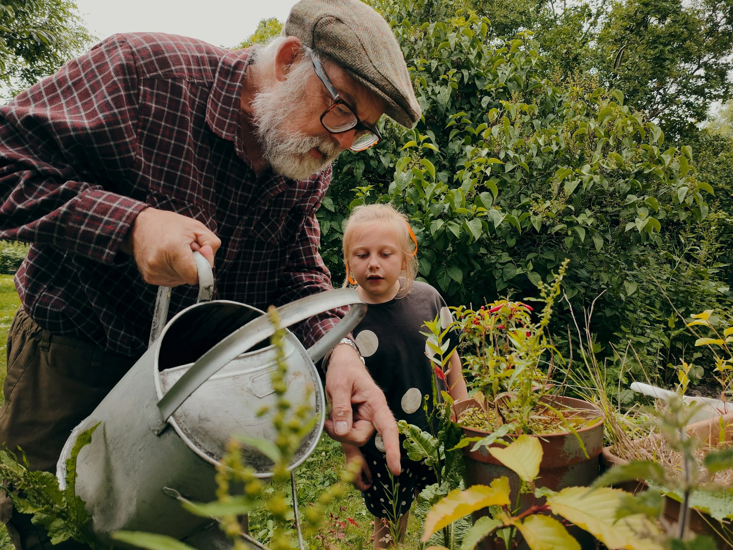 Older man with glasses and a plaid cap gardening with a young girl among potted plants and green foliage.