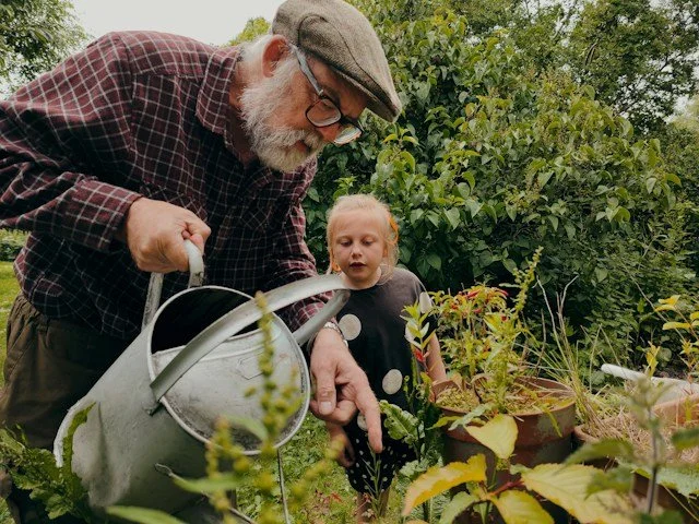 An elderly man with a beard, glasses, and a cap watering plants in a garden with a young girl watching.
