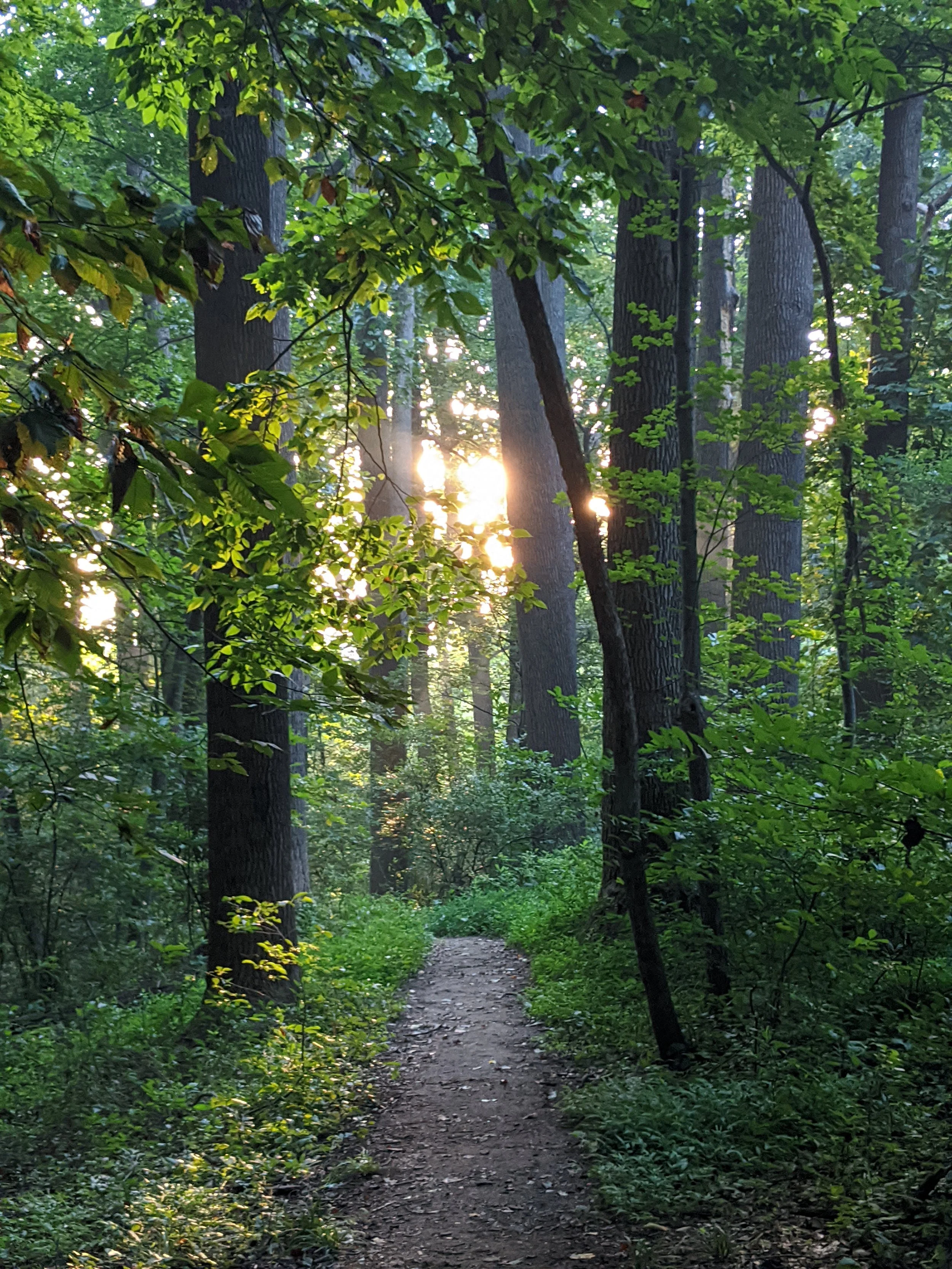 The system is not safe for everyone; Non-Carceral Crisis Resources for Autistic People