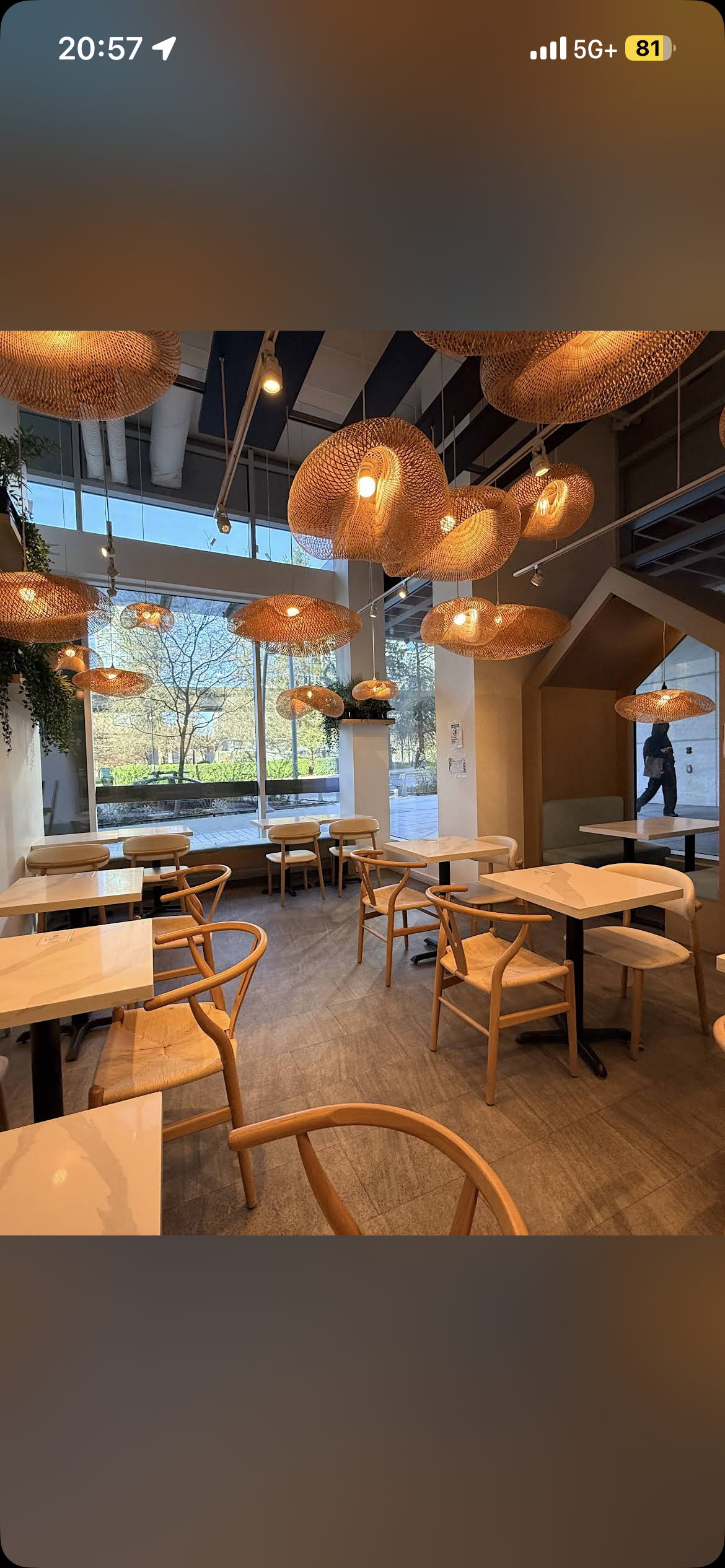 Restaurant Dining Chair