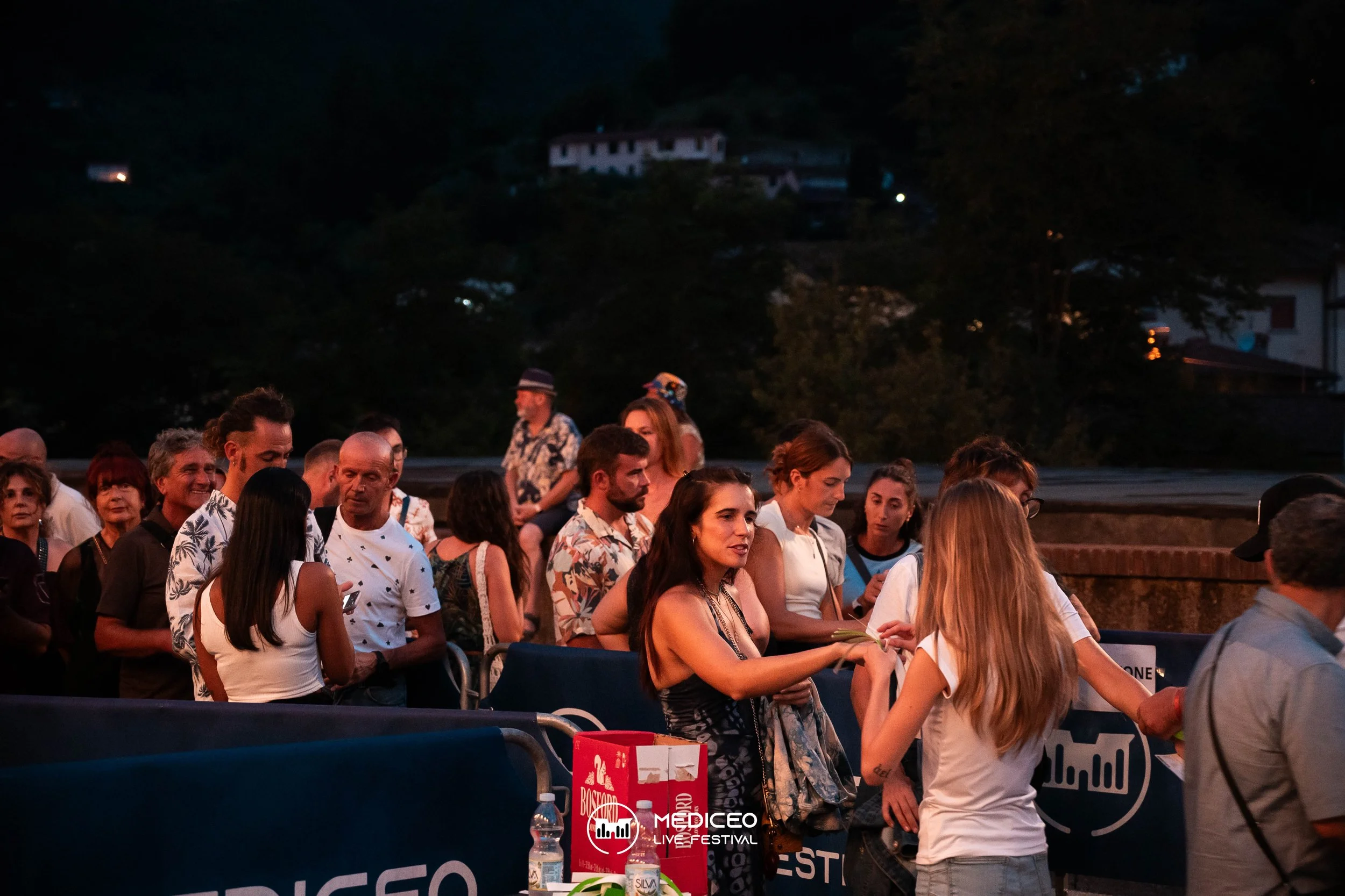 26.07.26 mediceo 90 logo-031.jpg