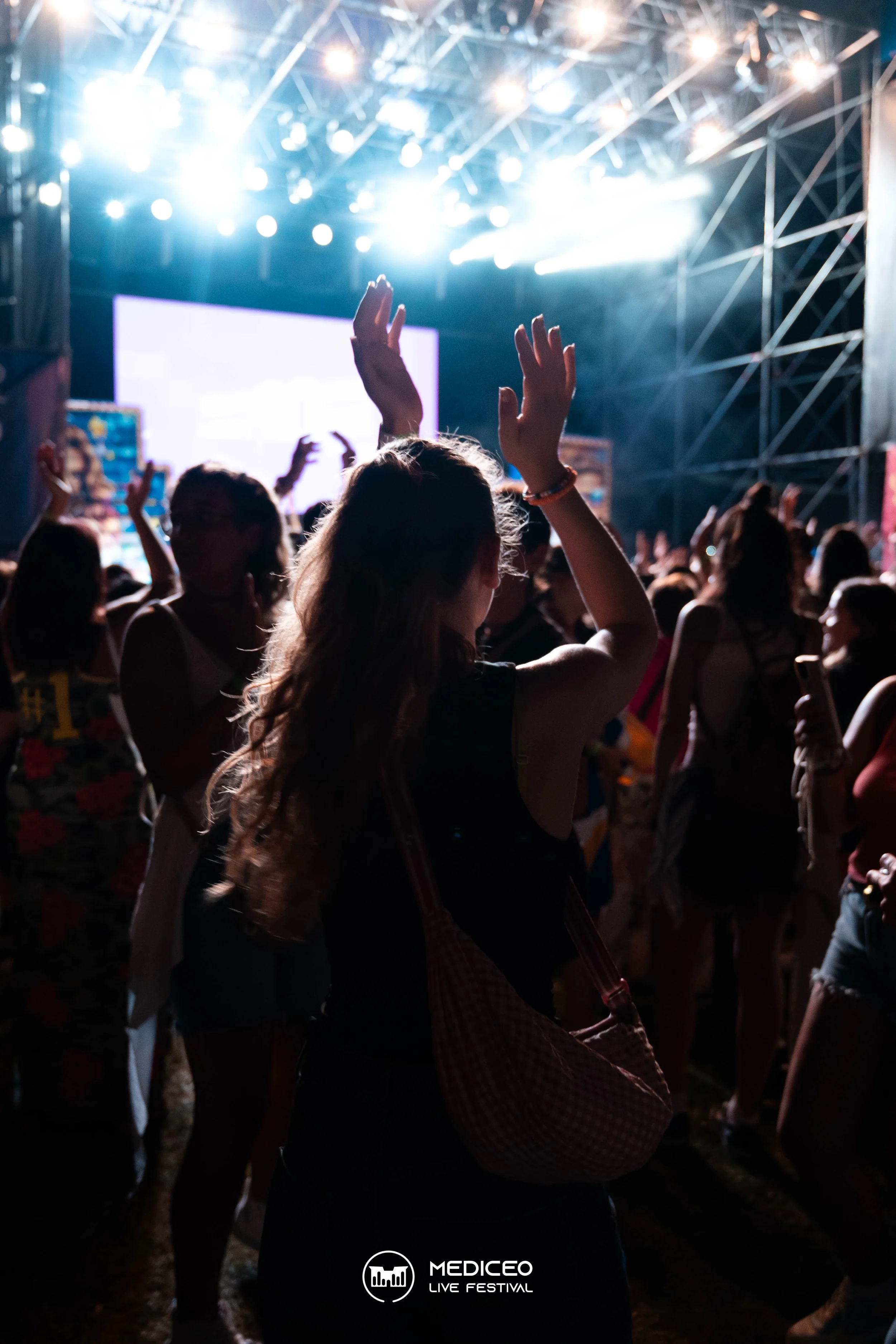 26.07.26 mediceo 90 logo-134.jpg