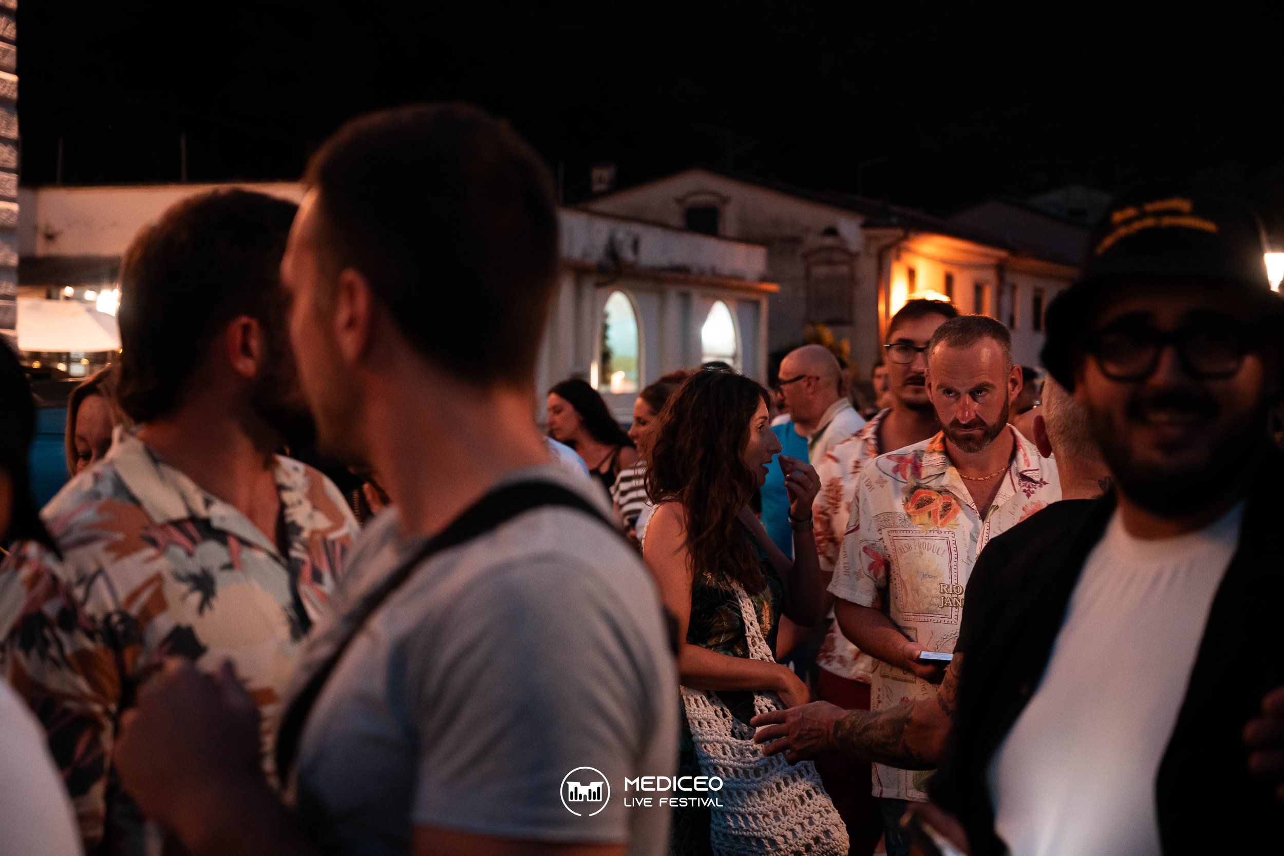 26.07.26 mediceo 90 logo-032.jpg
