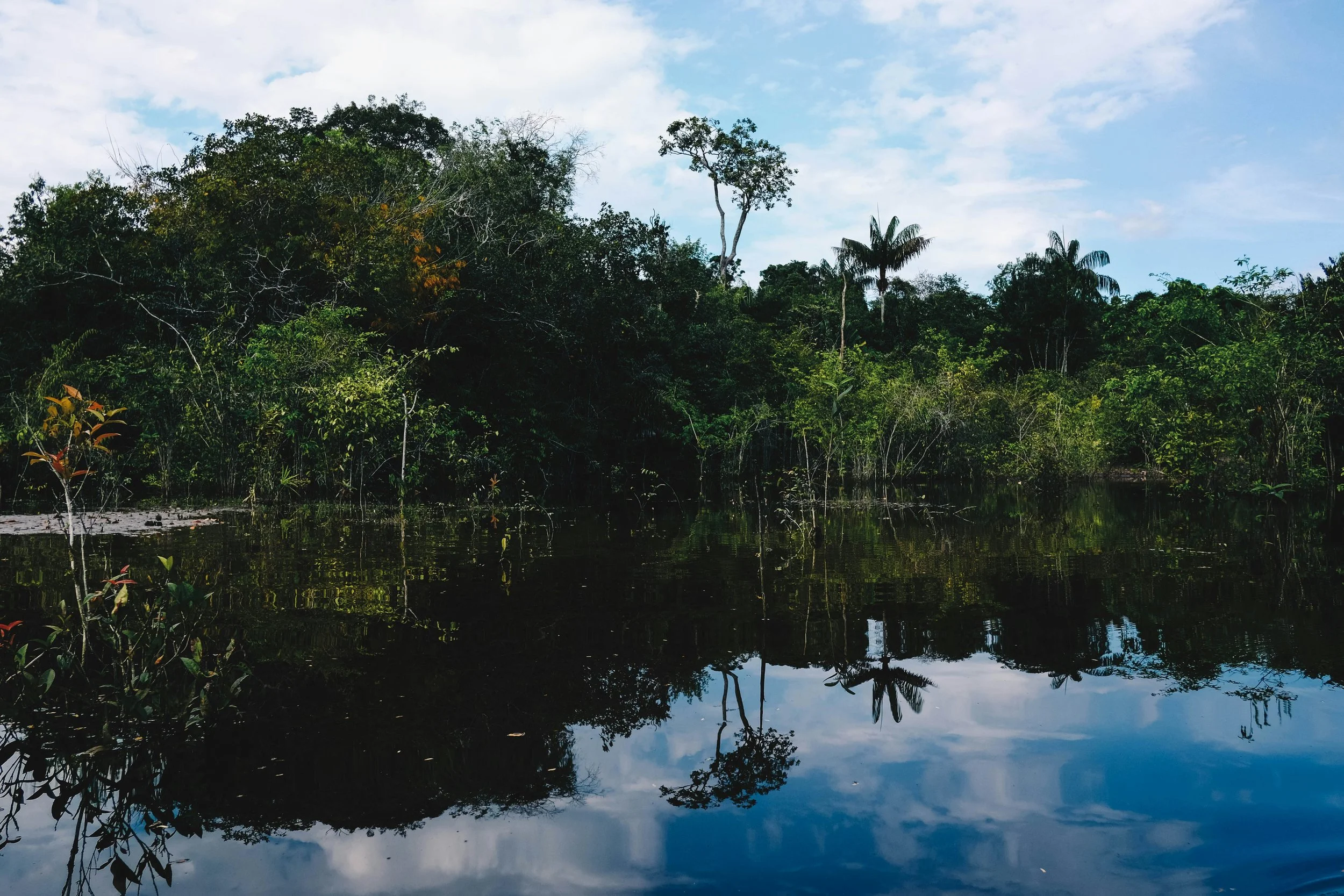 Manaus – brama do Amazonii i opera w środku dżungli