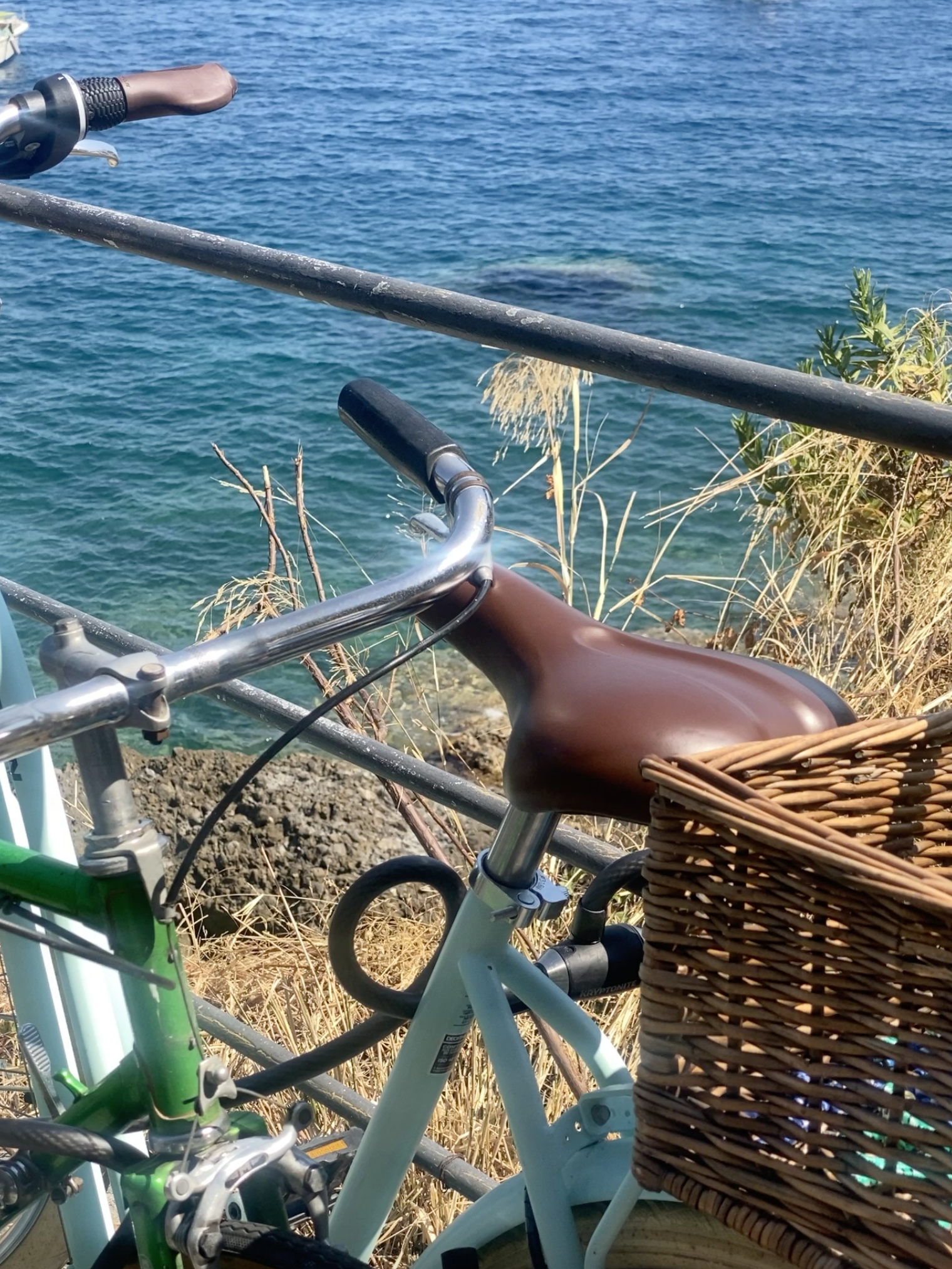 Screenshot 2024-04-04 at 2.03.52 PM.png